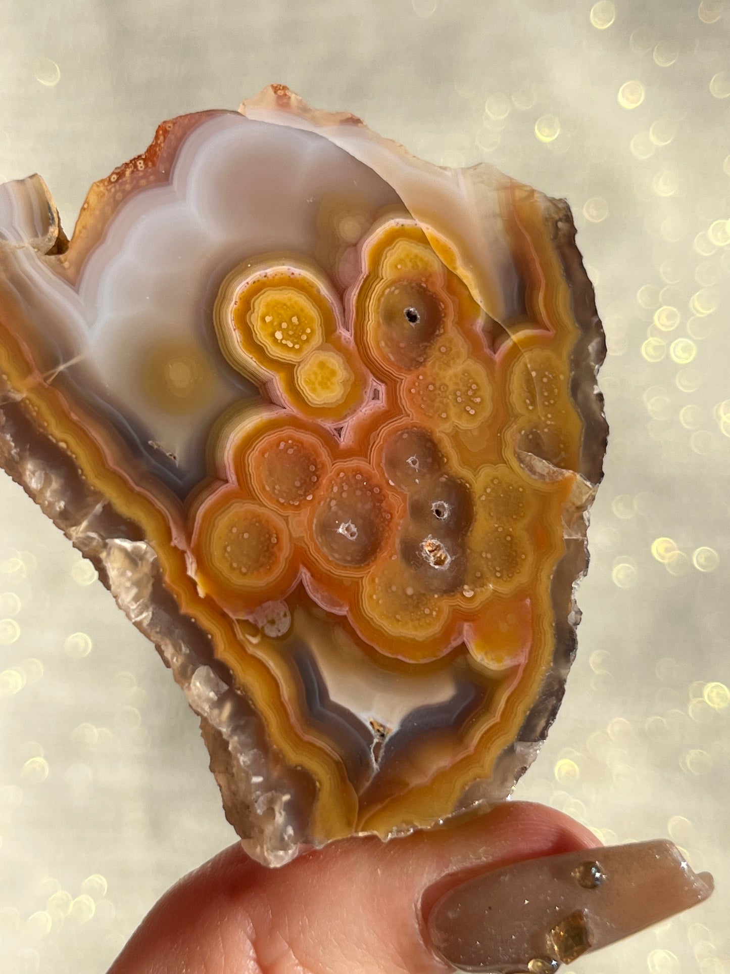 "Sunrise Sunset" Orange Floral Pattern Laguna Agate #F