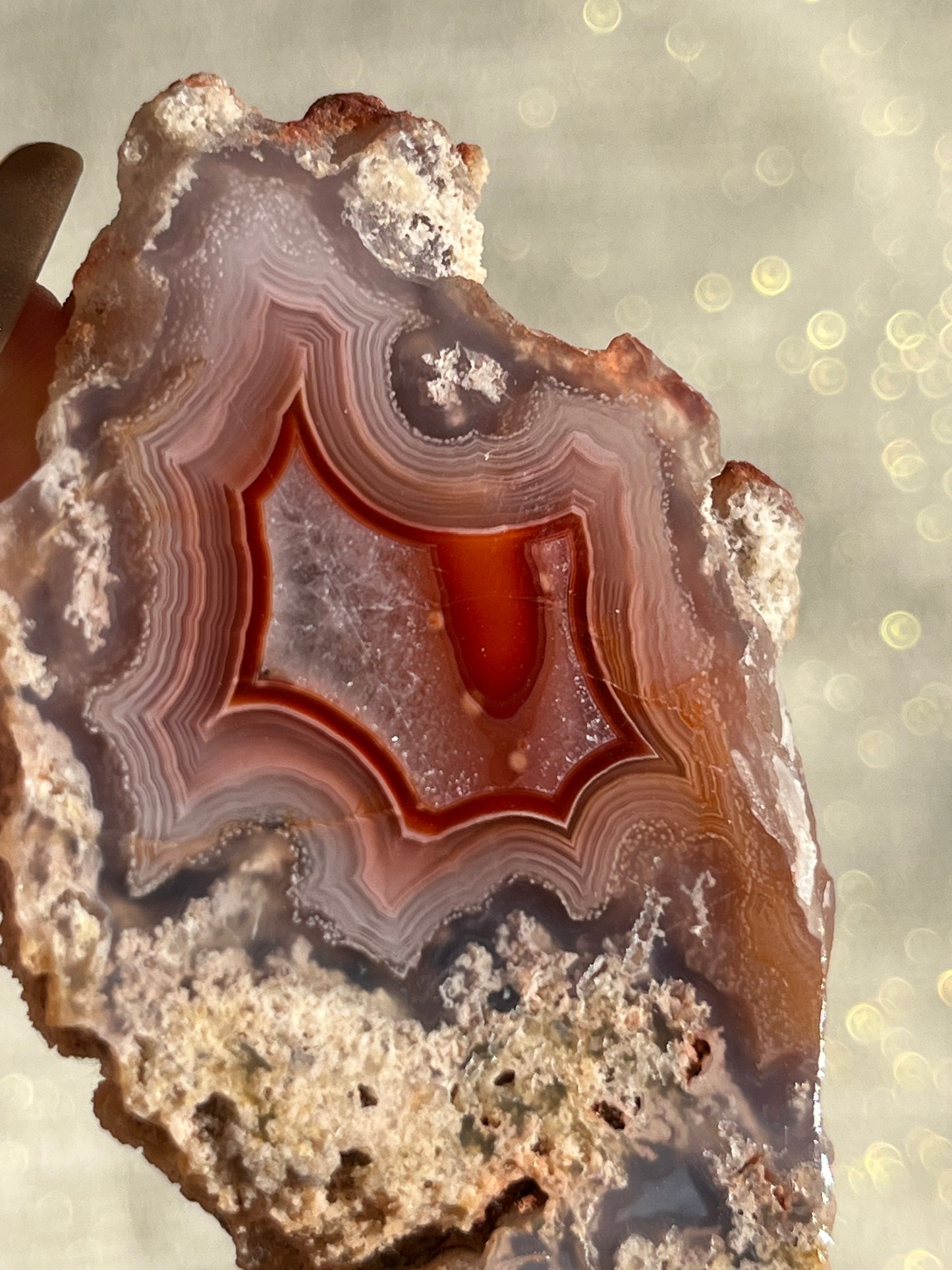 "Mirabelle" Red Laguna Agate with Moss Inclusions & Parallax #G