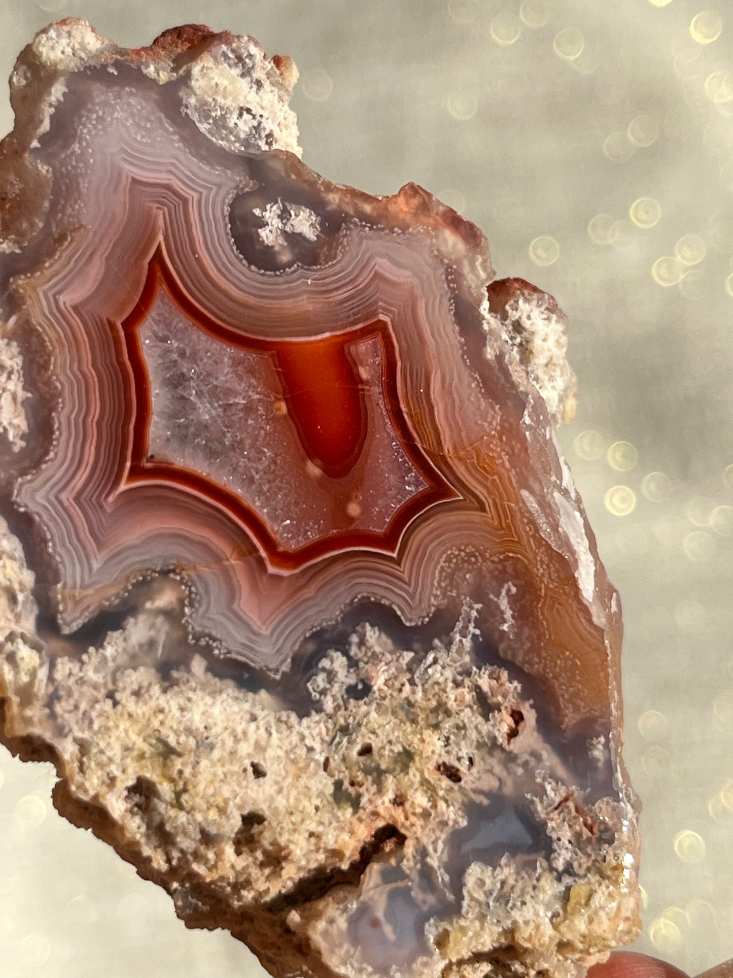 "Mirabelle" Red Laguna Agate with Moss Inclusions & Parallax #G