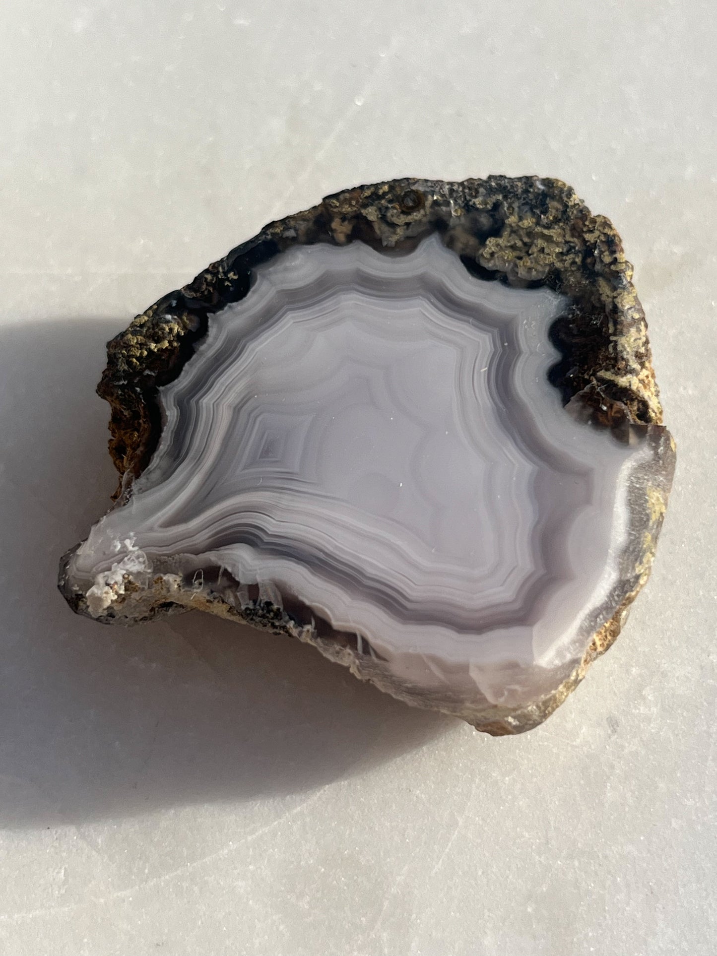 Laguna Agate with Moss Geode Half