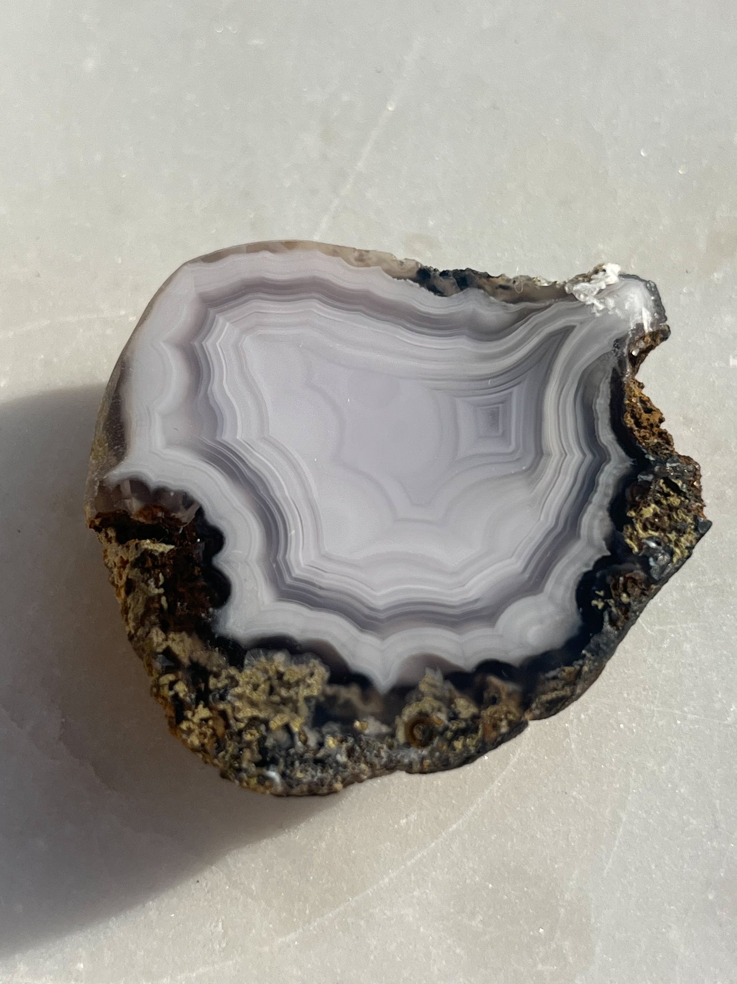 Laguna Agate with Moss Geode Half