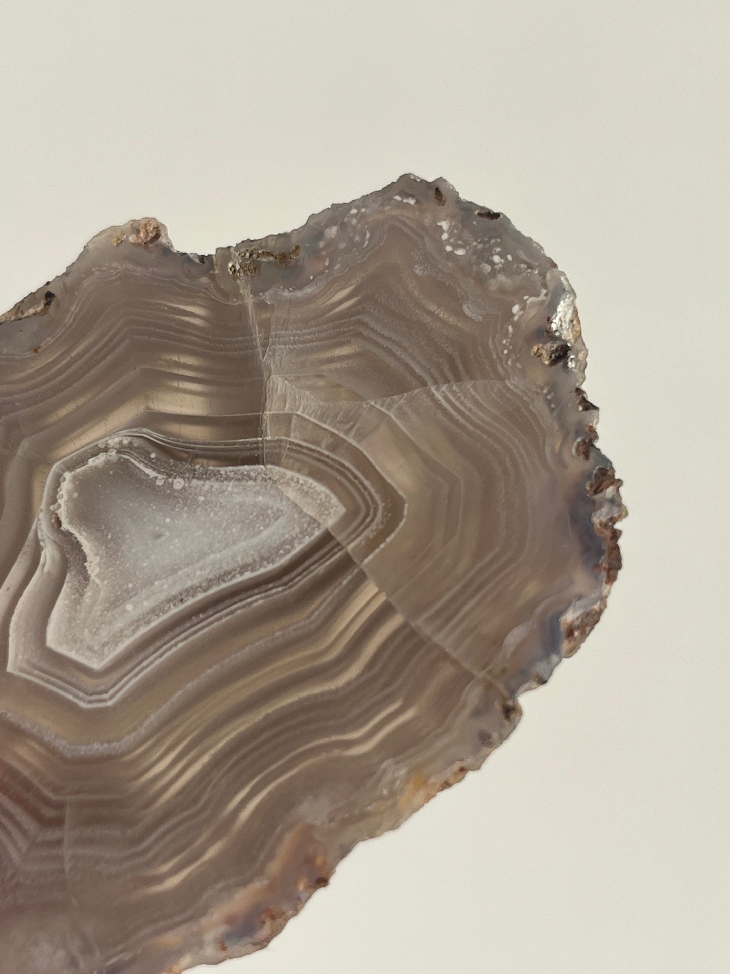 Purple Laguna Agate Slice with White Platelet Suspensions and Parallax Effect D