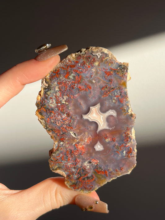 "Jam" Laguna Agate with Multicoloured Moss Inclusions
