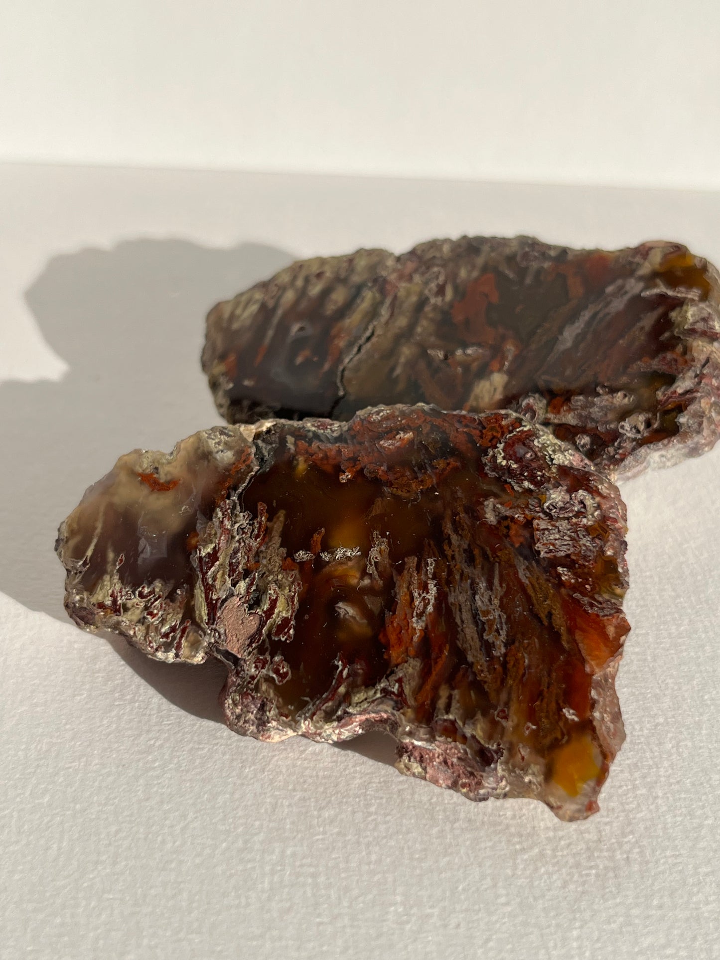 “Autumn Veils” Natural Carnelian Laguna Agate with Moss Inclusions Pair A