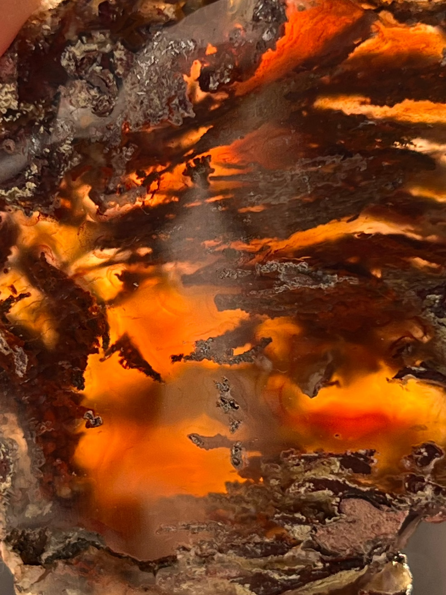 “Autumn Veils” Natural Carnelian Laguna Agate with Moss Inclusions Pair A