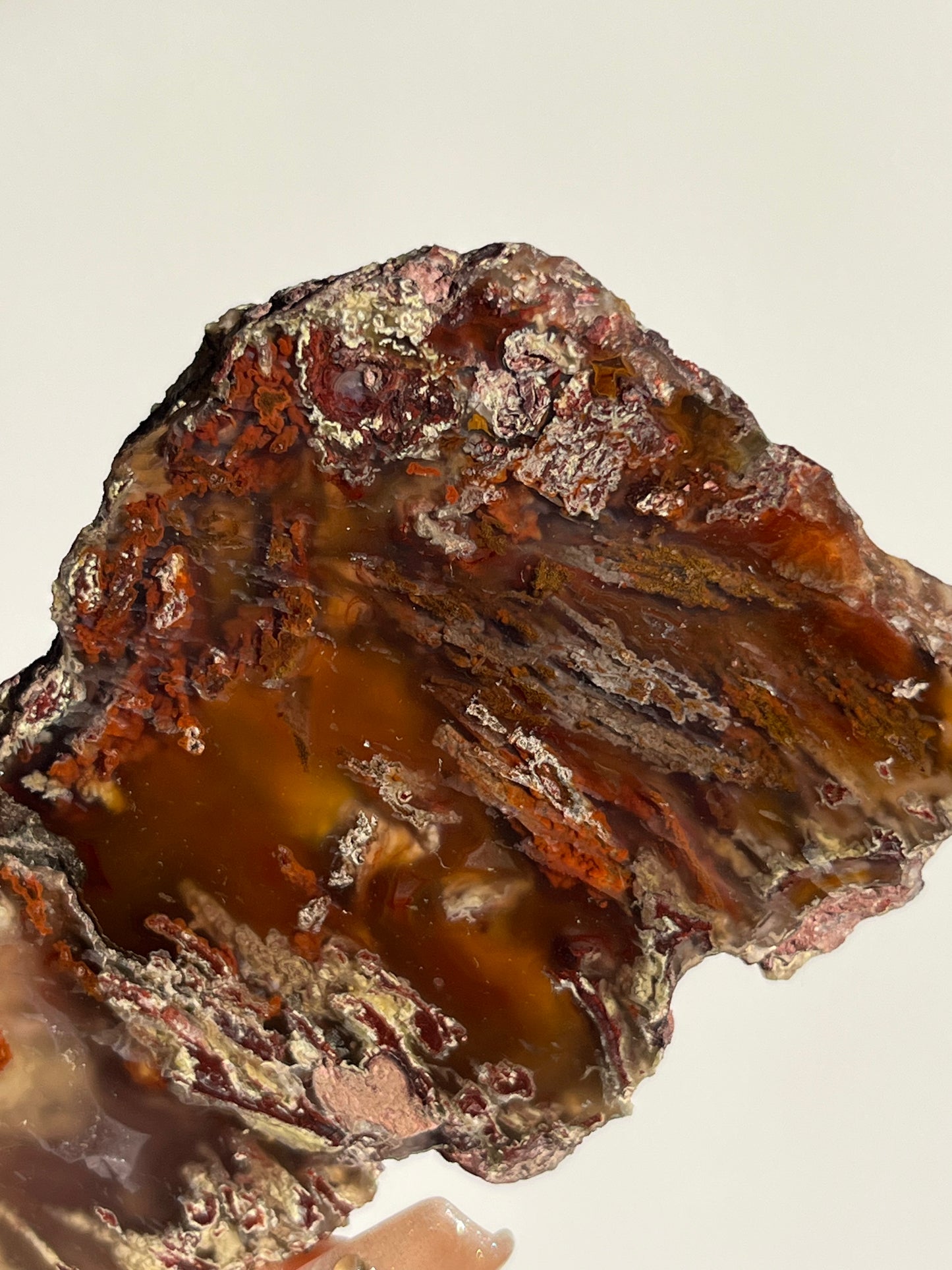 “Autumn Veils” Natural Carnelian Laguna Agate with Moss Inclusions Pair A
