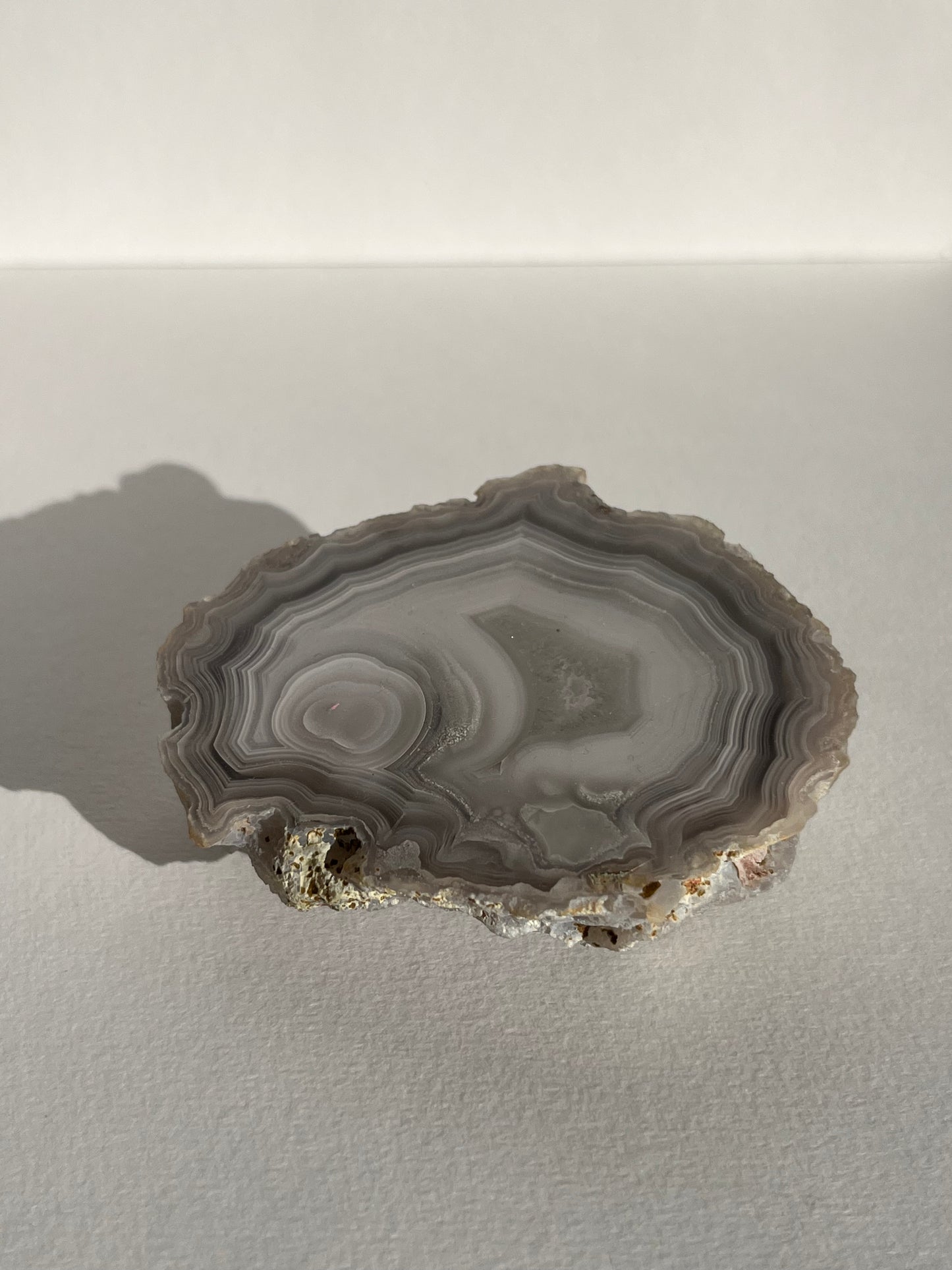 "Cyclops: The New Era" Laguna Agate with Parallax Effect