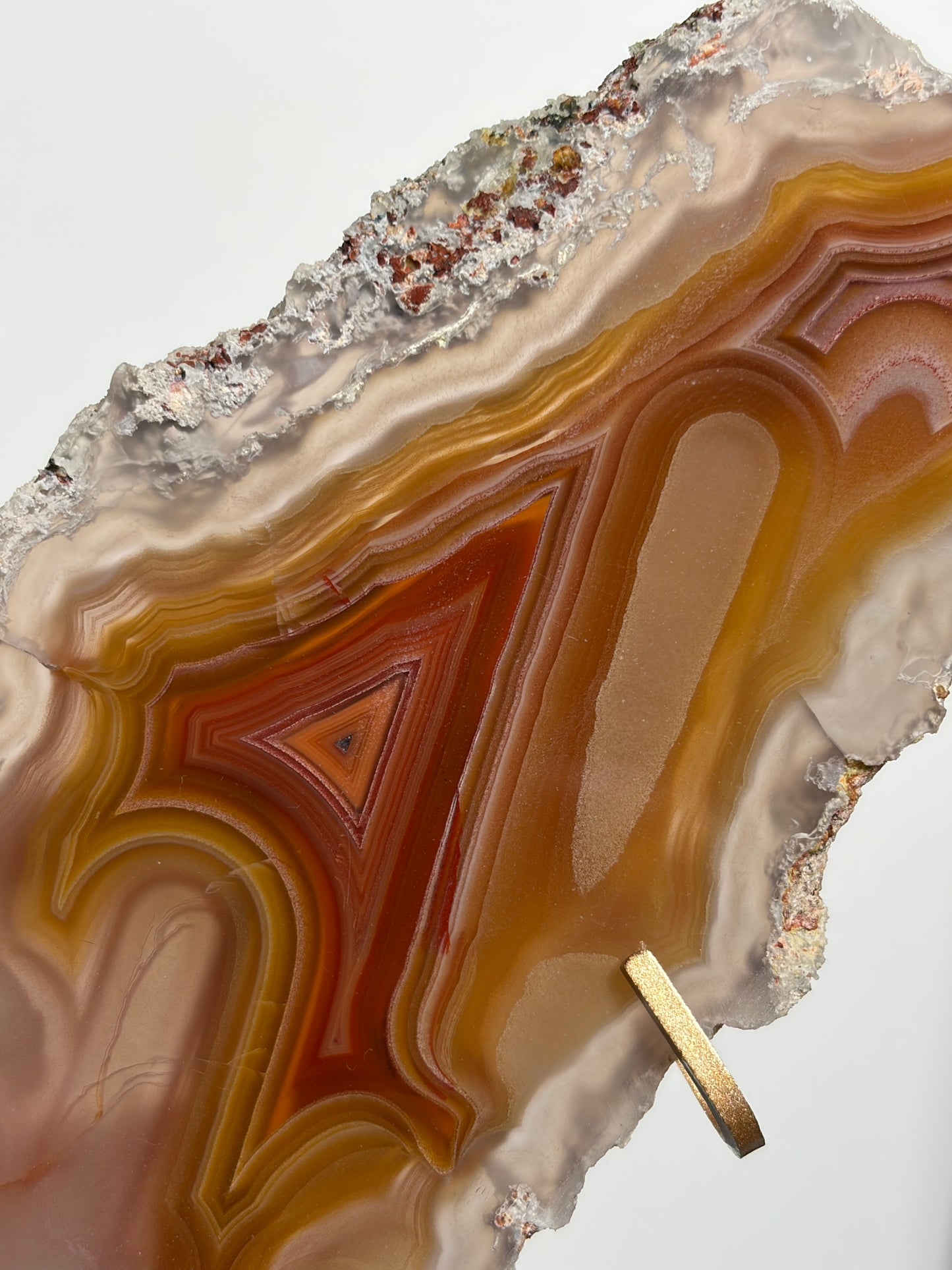 "Ophelia Rising" Red-Orange Laguna Agate Butterfly Wing Set with Parallax Effect