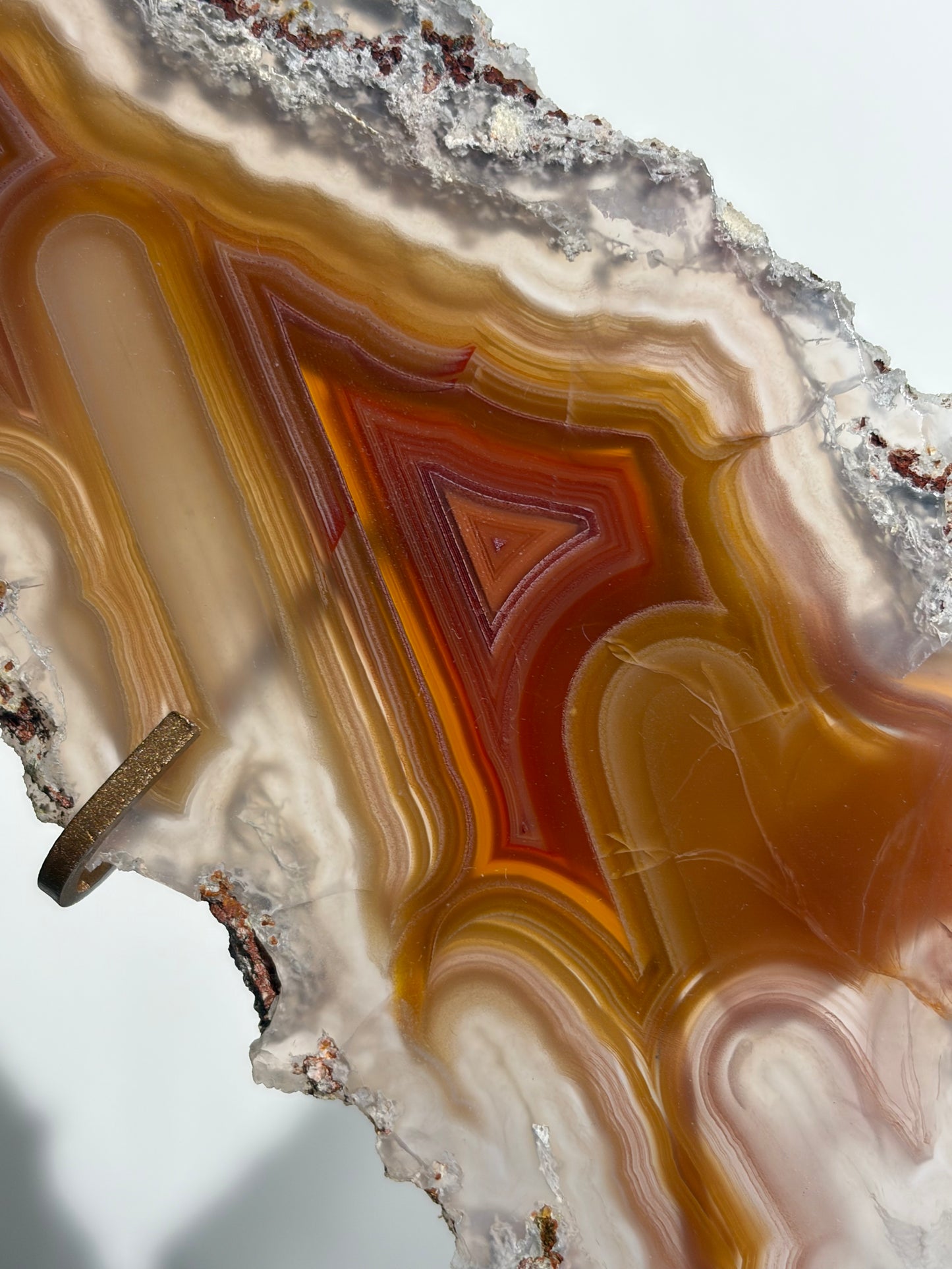 "Ophelia Rising" Red-Orange Laguna Agate Butterfly Wing Set with Parallax Effect
