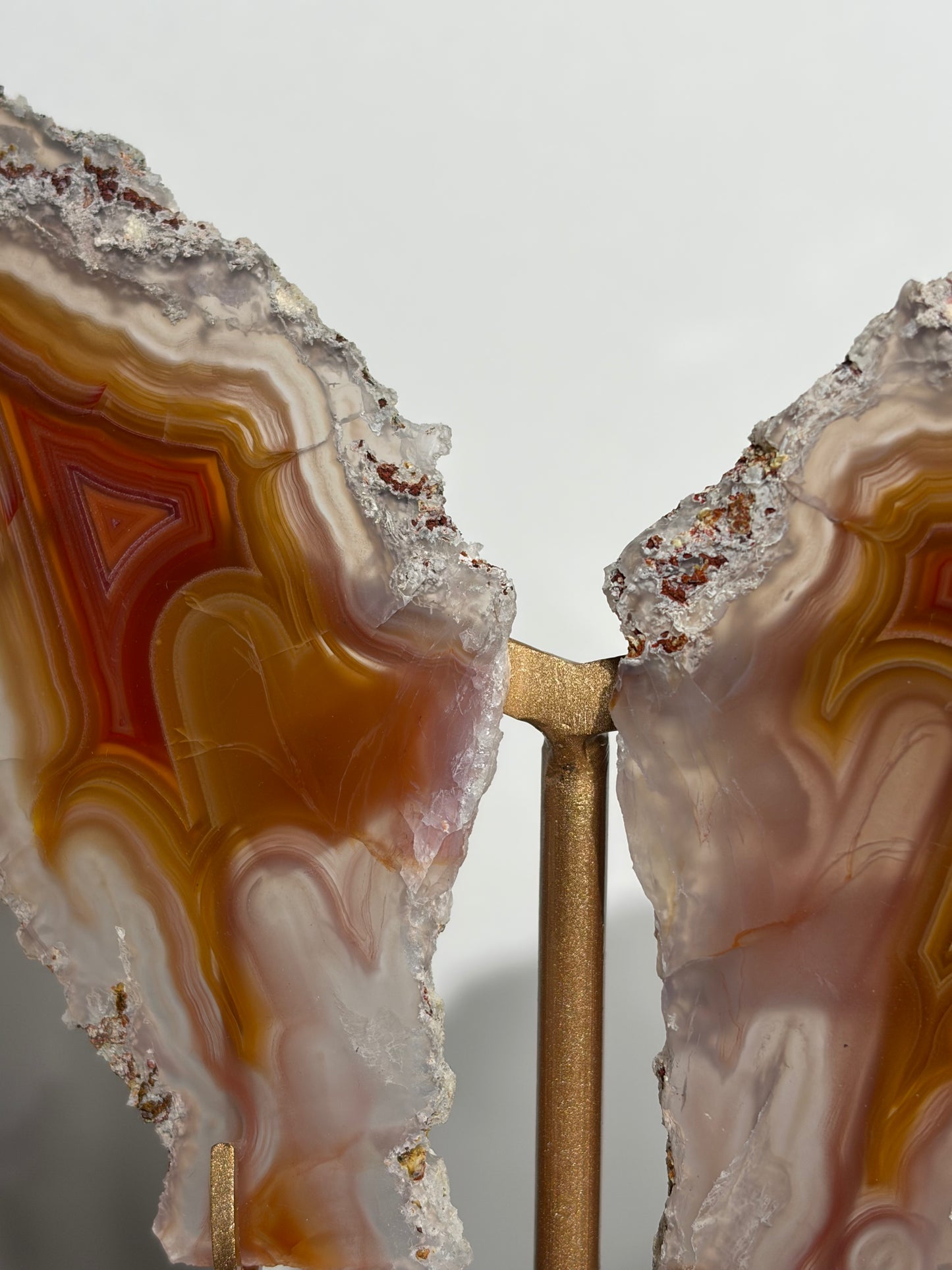 "Ophelia Rising" Red-Orange Laguna Agate Butterfly Wing Set with Parallax Effect