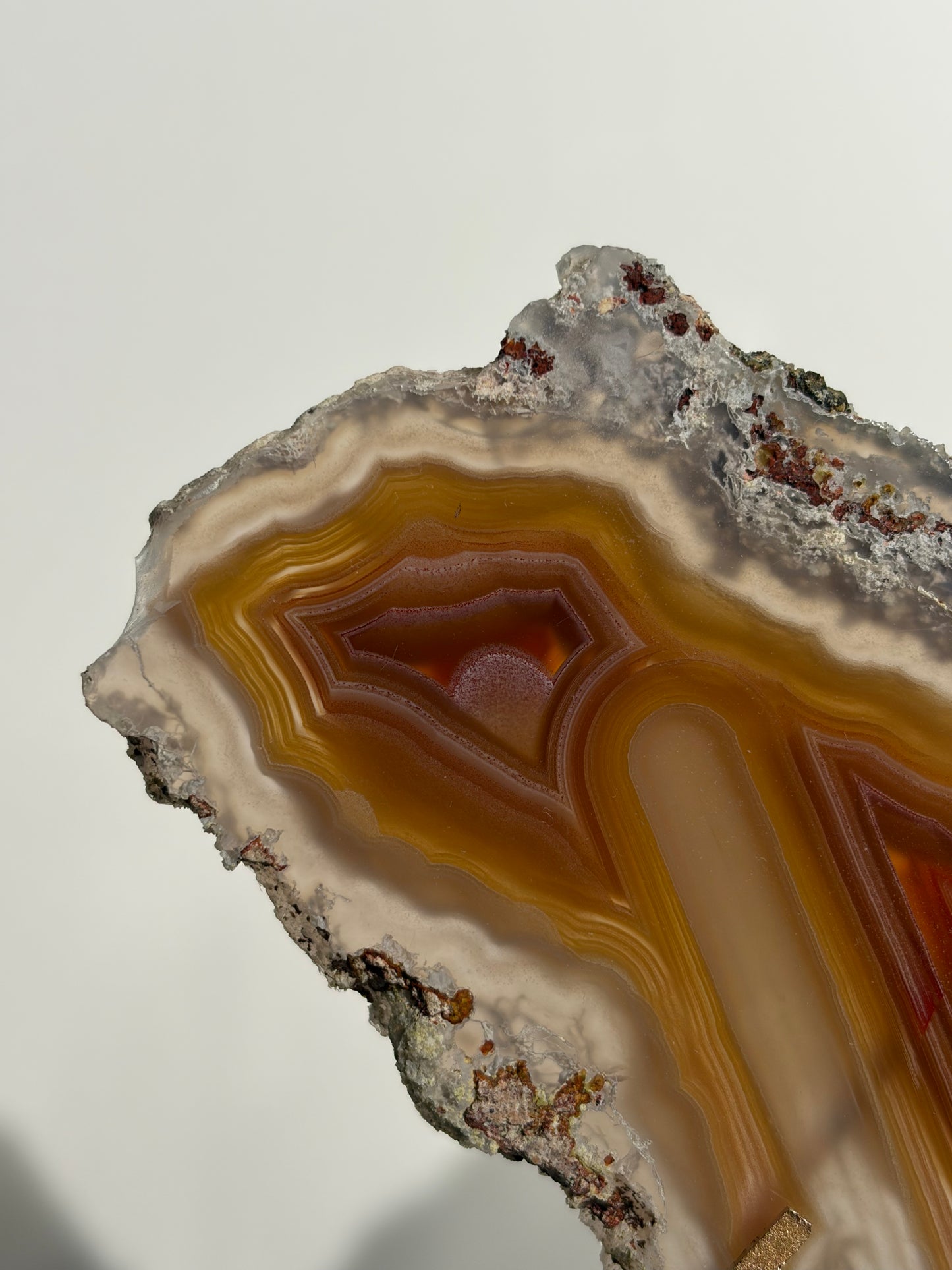 "Ophelia Rising" Red-Orange Laguna Agate Butterfly Wing Set with Parallax Effect
