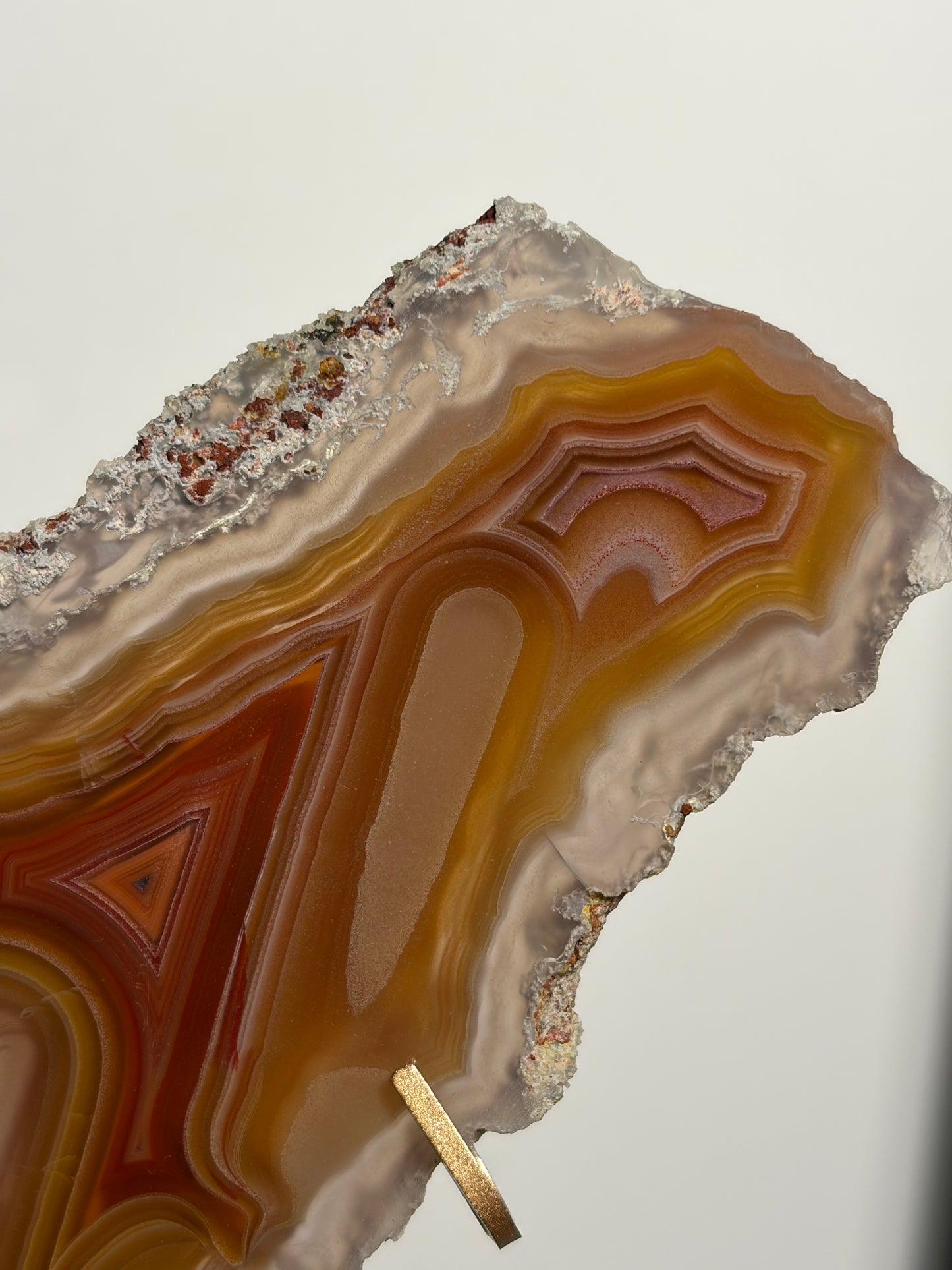"Ophelia Rising" Red-Orange Laguna Agate Butterfly Wing Set with Parallax Effect