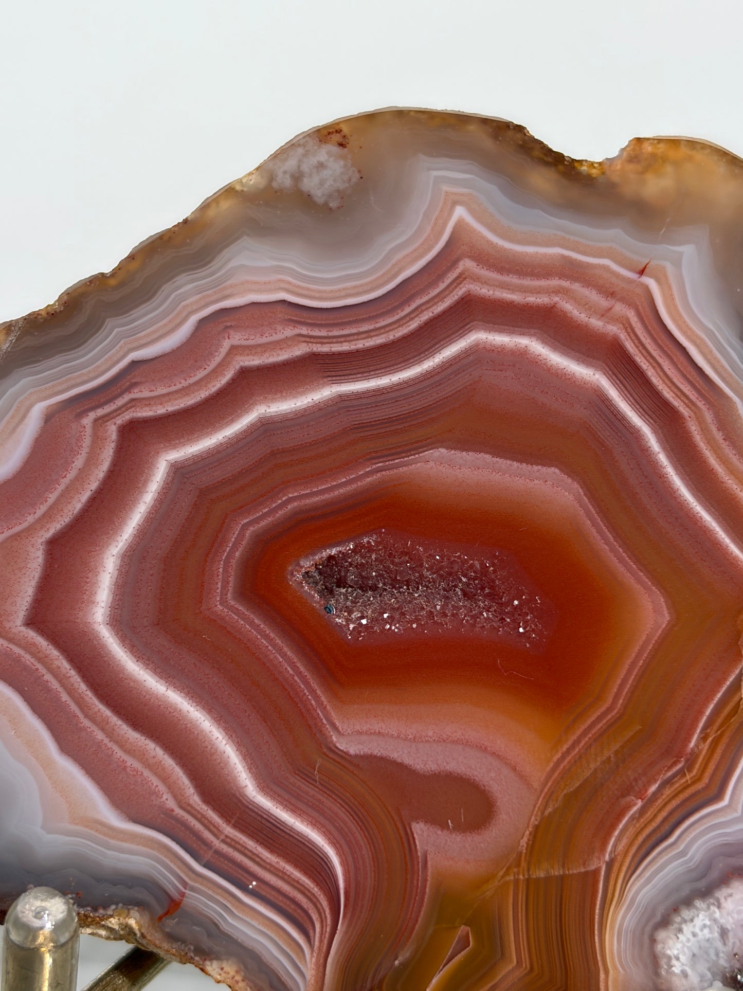 "Salmon River" Red Laguna Agate Specimen with Sagenite Inclusions and Parallax Effect