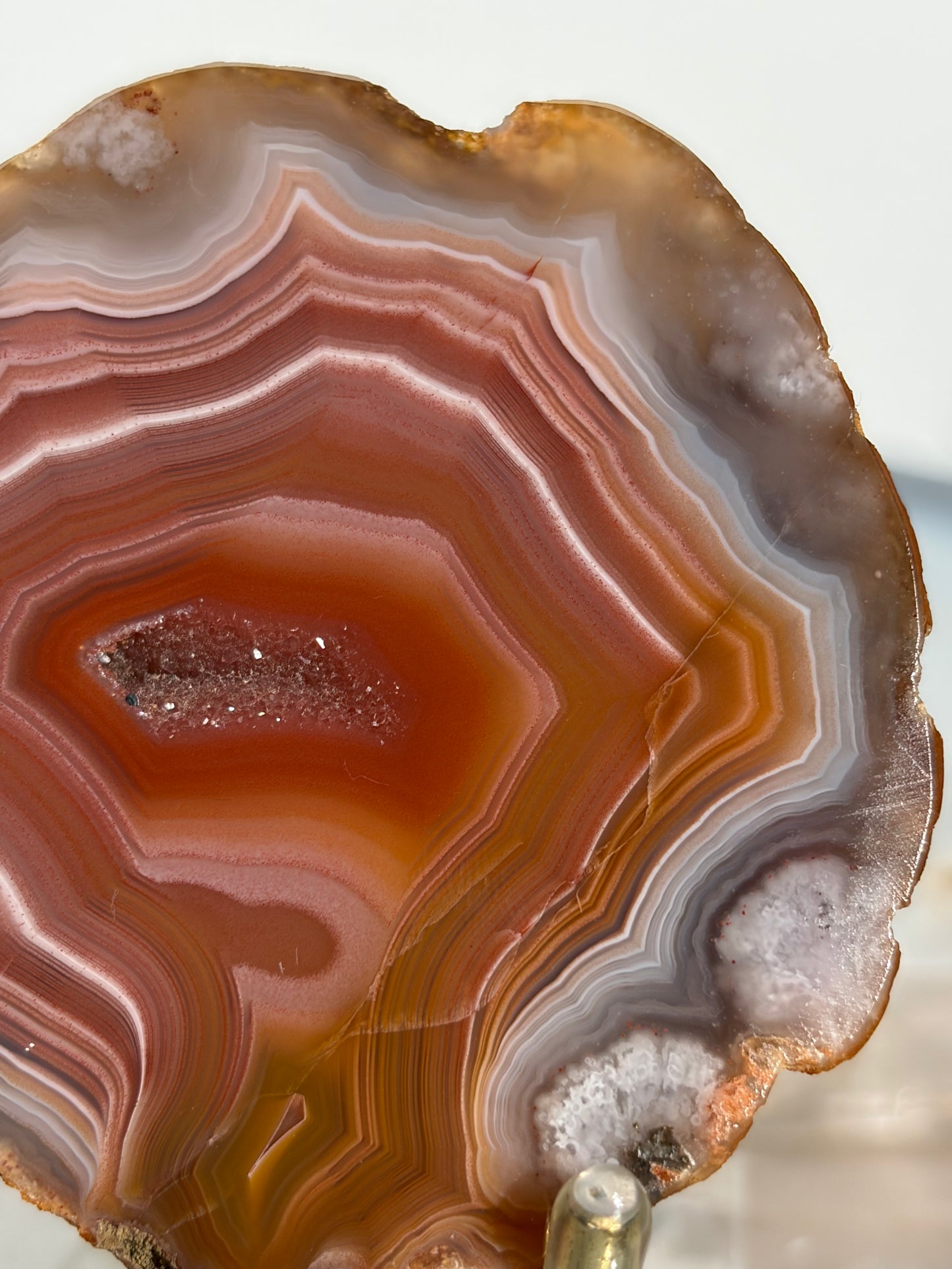 "Salmon River" Red Laguna Agate Specimen with Sagenite Inclusions and Parallax Effect