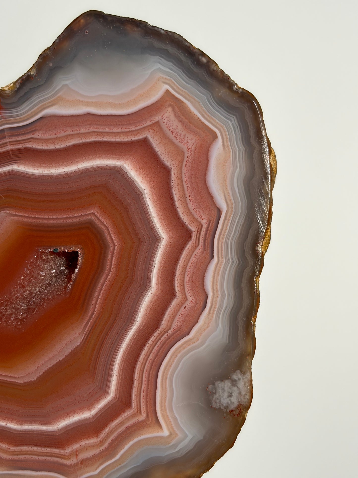 "Salmon River" Red Laguna Agate Specimen with Sagenite Inclusions and Parallax Effect