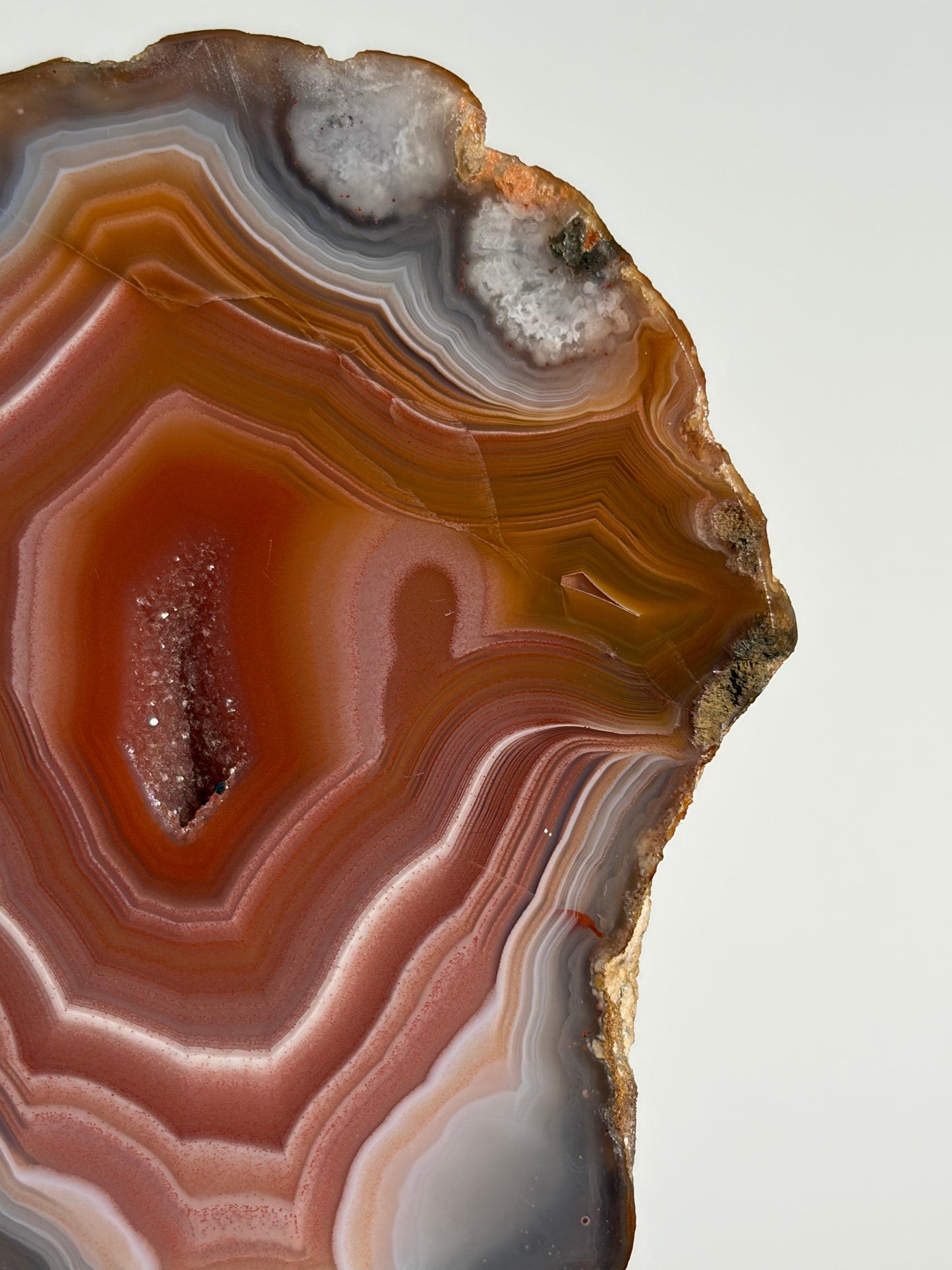"Salmon River" Red Laguna Agate Specimen with Sagenite Inclusions and Parallax Effect