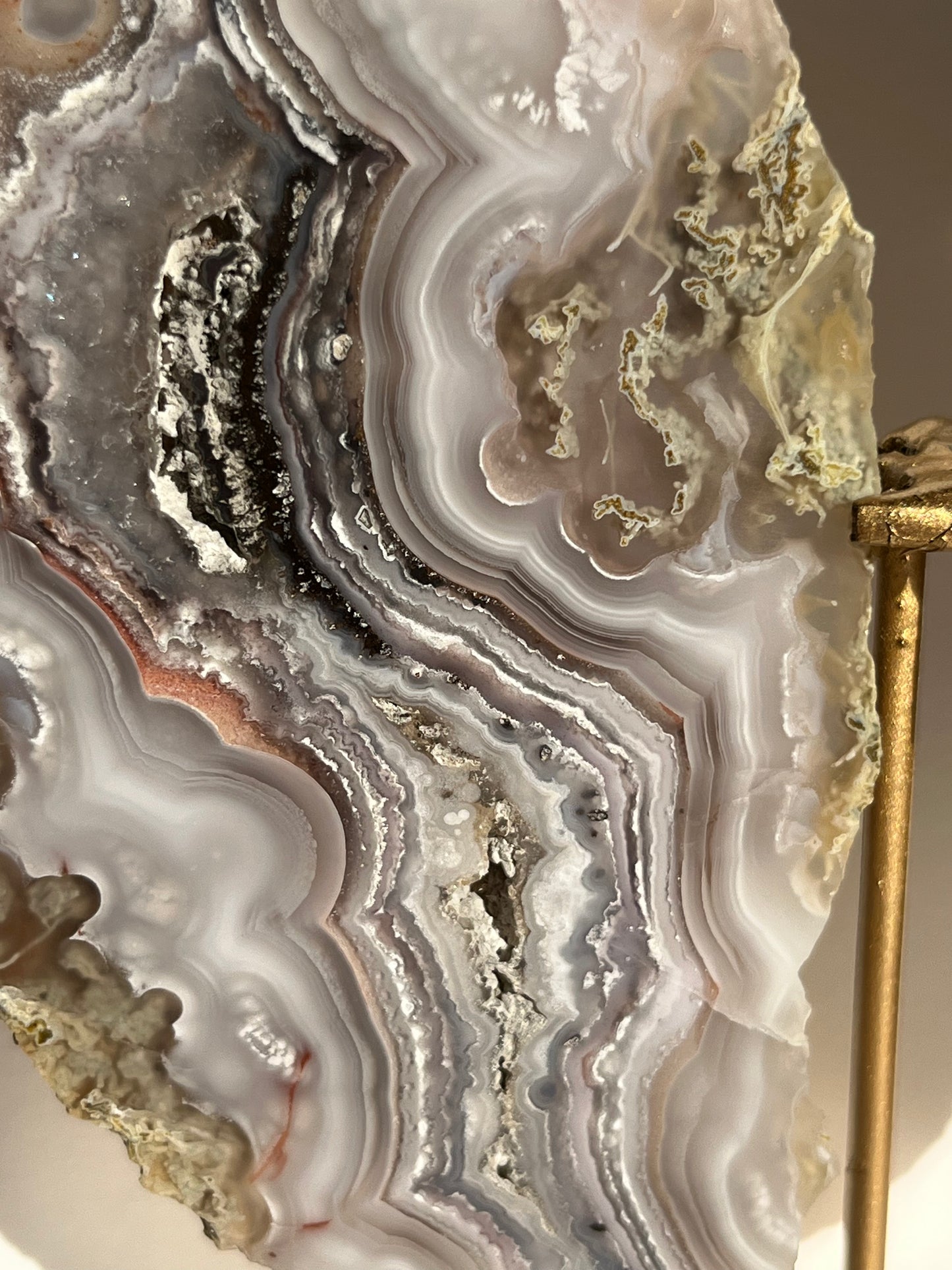 “Lemurian Garden” Lilac Agua Nueva Agate with Green Moss Inclusions and Parallax Effect Butterfly Pair on Stand