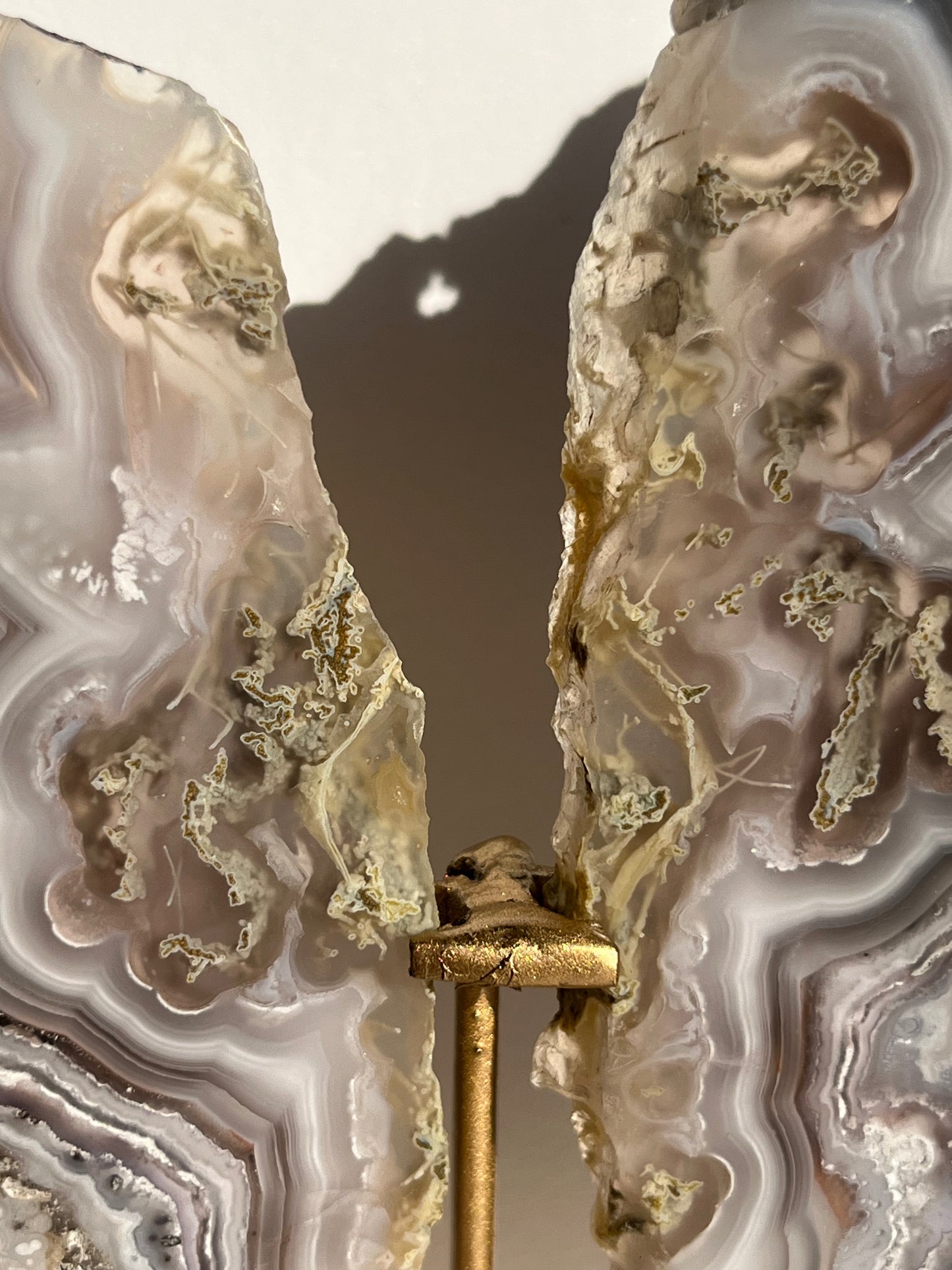 “Lemurian Garden” Lilac Agua Nueva Agate with Green Moss Inclusions and Parallax Effect Butterfly Pair on Stand