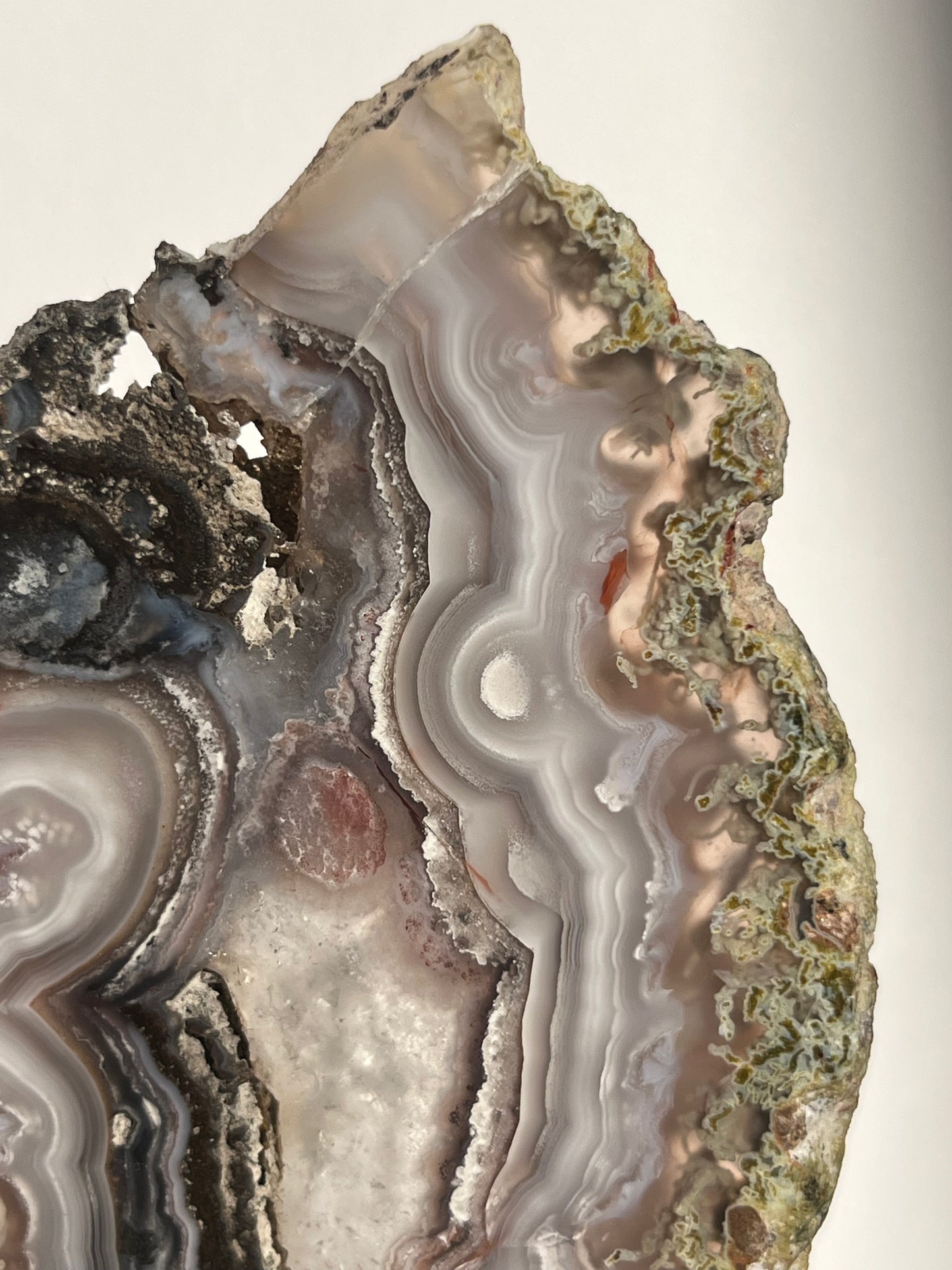 “Lemurian Garden” Lilac Agua Nueva Agate with Green Moss Inclusions and Parallax Effect Butterfly Pair on Stand