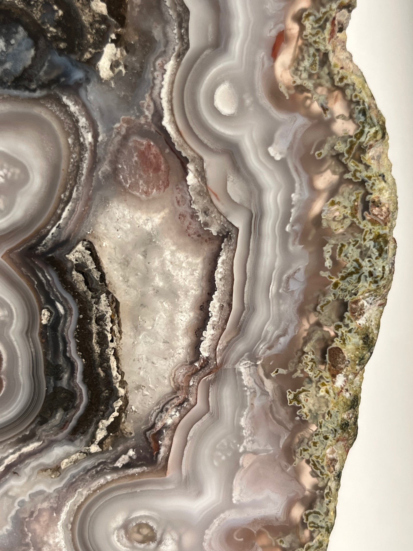 “Lemurian Garden” Lilac Agua Nueva Agate with Green Moss Inclusions and Parallax Effect Butterfly Pair on Stand