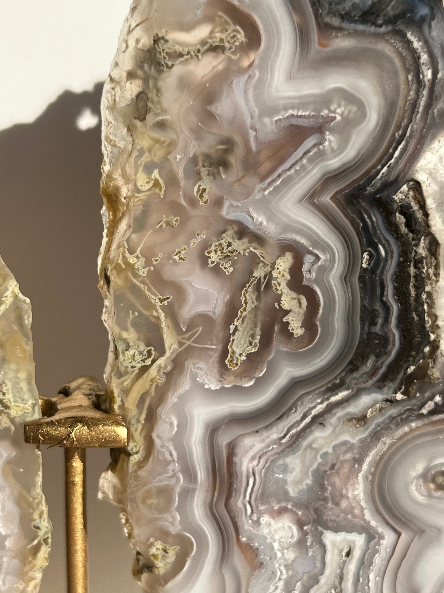 “Lemurian Garden” Lilac Agua Nueva Agate with Green Moss Inclusions and Parallax Effect Butterfly Pair on Stand