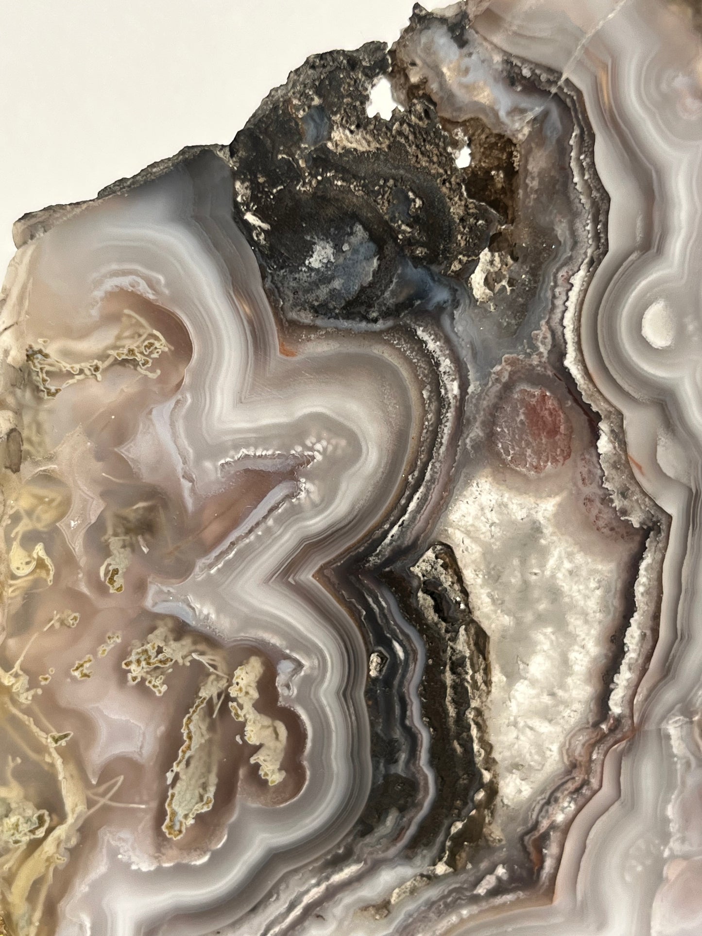 “Lemurian Garden” Lilac Agua Nueva Agate with Green Moss Inclusions and Parallax Effect Butterfly Pair on Stand