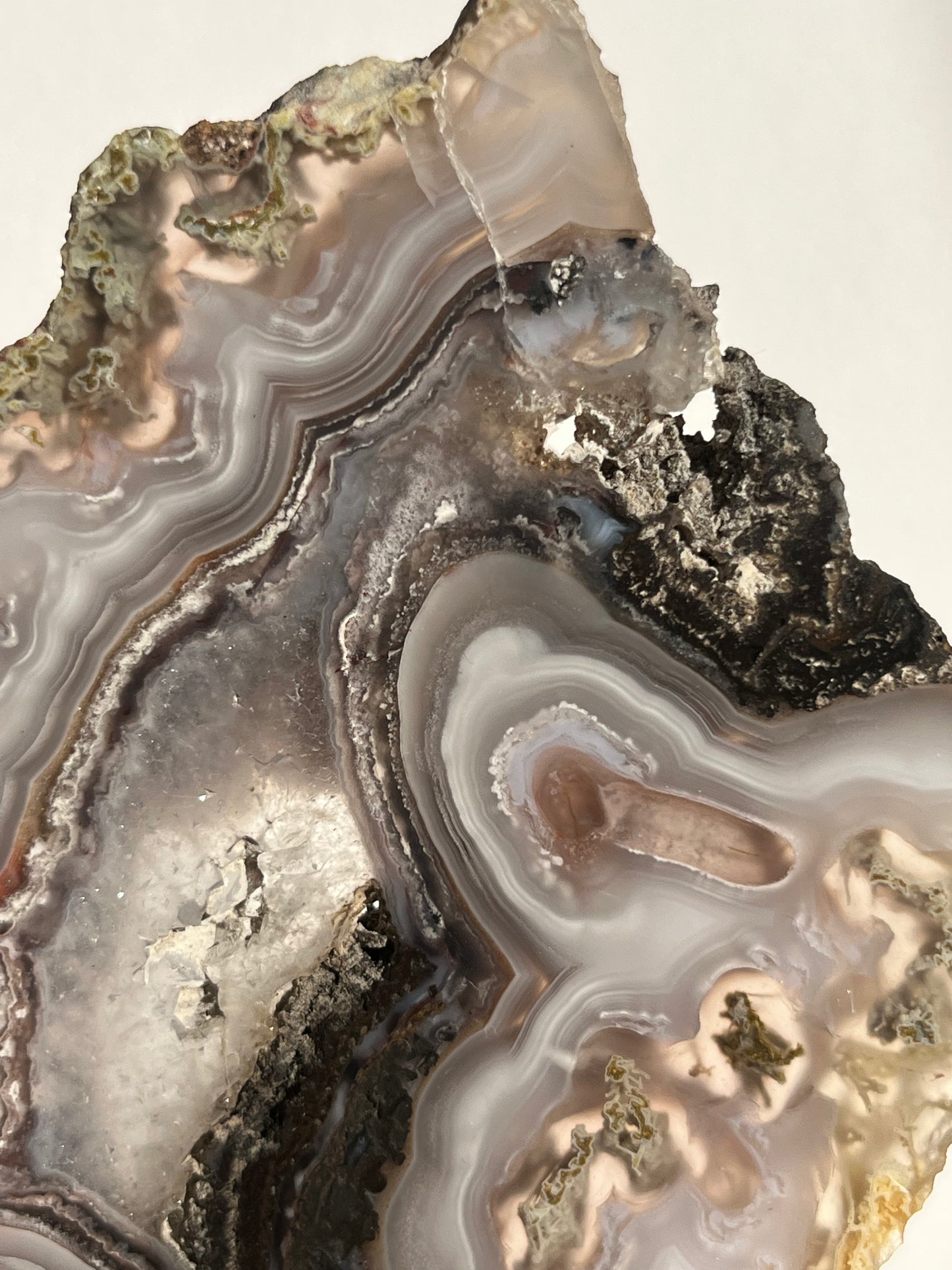 “Lemurian Garden” Lilac Agua Nueva Agate with Green Moss Inclusions and Parallax Effect Butterfly Pair on Stand