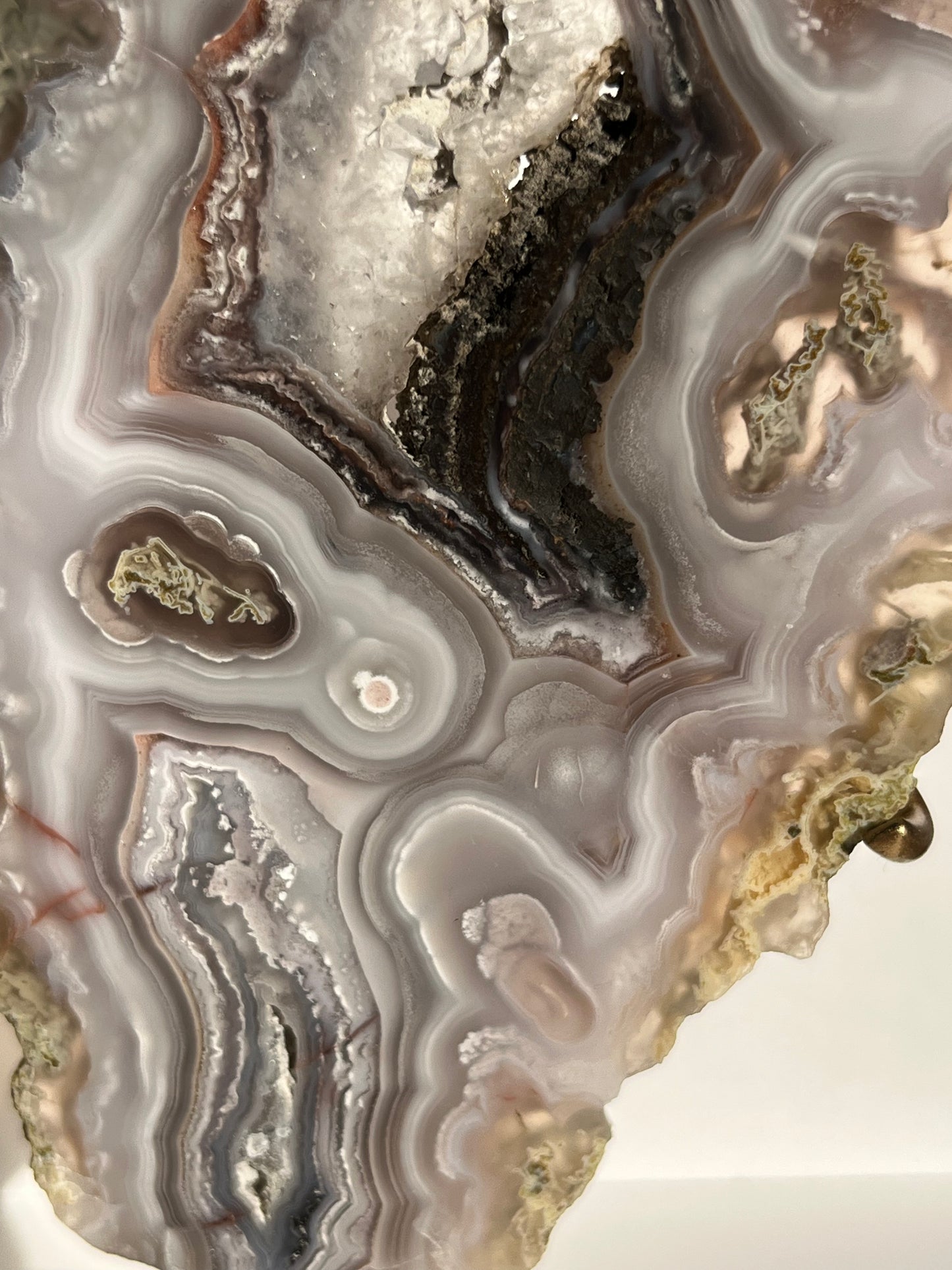 “Lemurian Garden” Lilac Agua Nueva Agate with Green Moss Inclusions and Parallax Effect Butterfly Pair on Stand