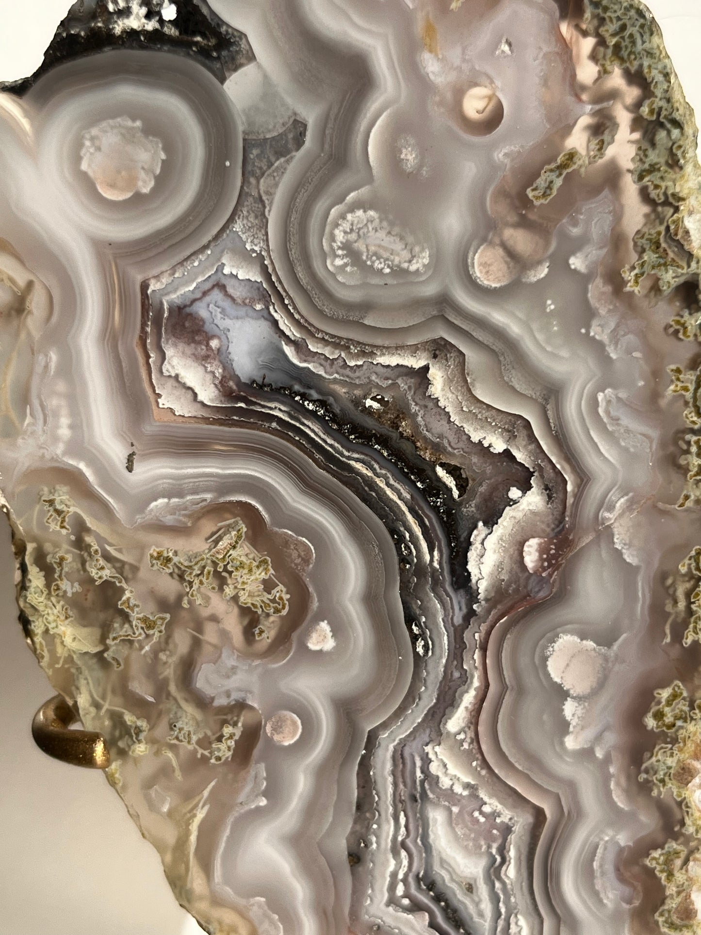 “Lemurian Garden” Lilac Agua Nueva Agate with Green Moss Inclusions and Parallax Effect Butterfly Pair on Stand