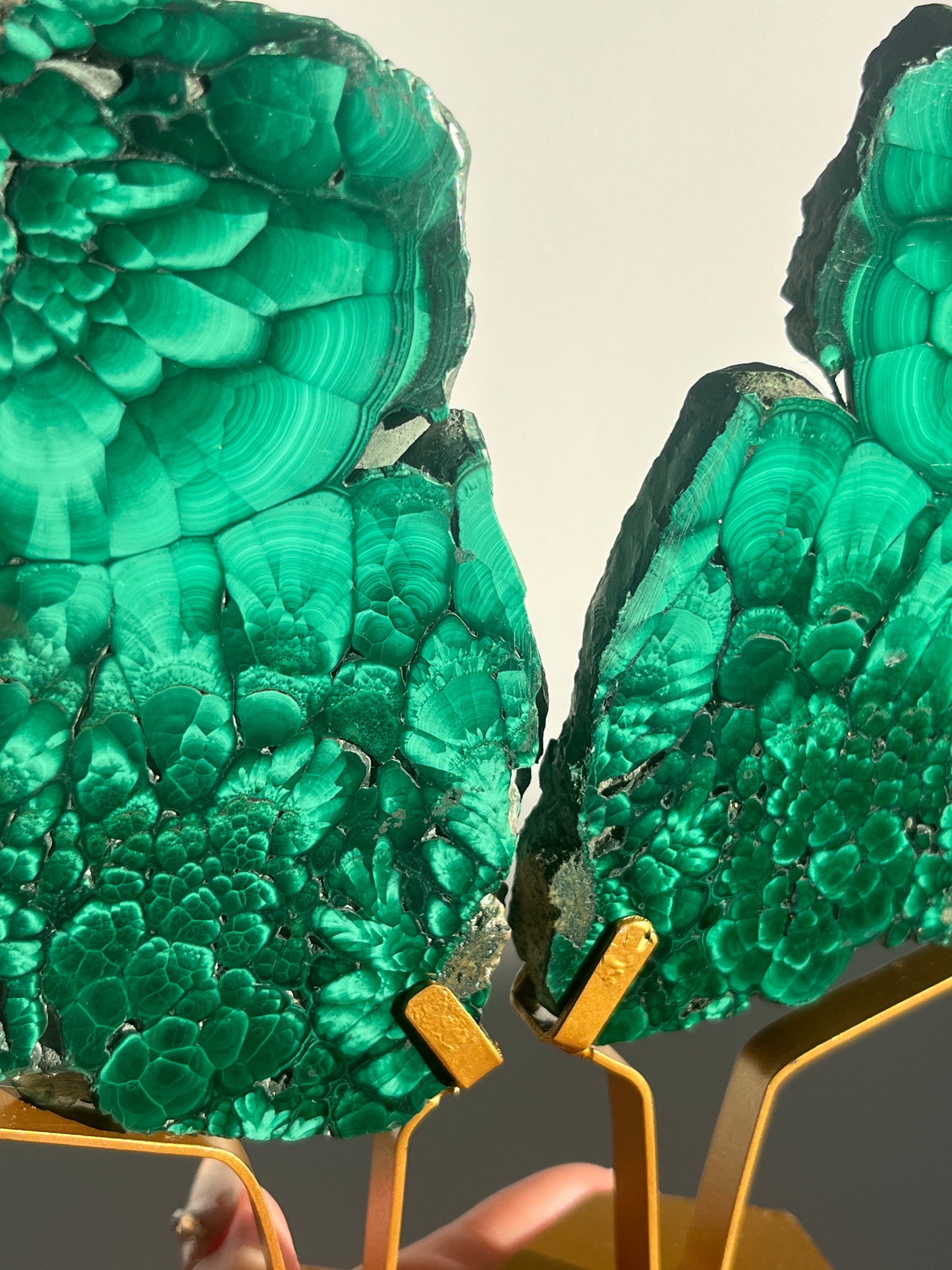 Malachite Butterfly Slab Pair on Custom Gold Stand B