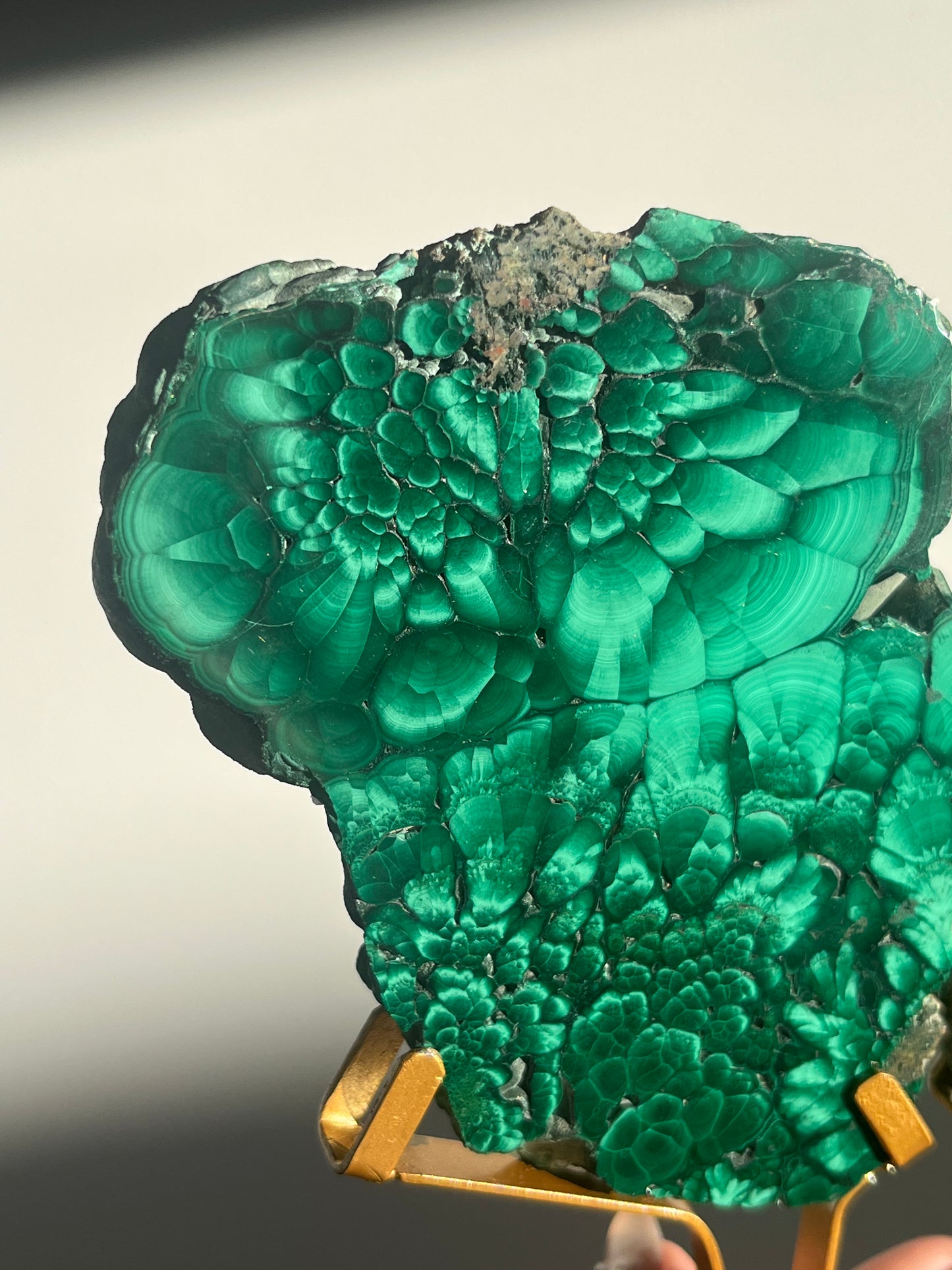 Malachite Butterfly Slab Pair on Custom Gold Stand B