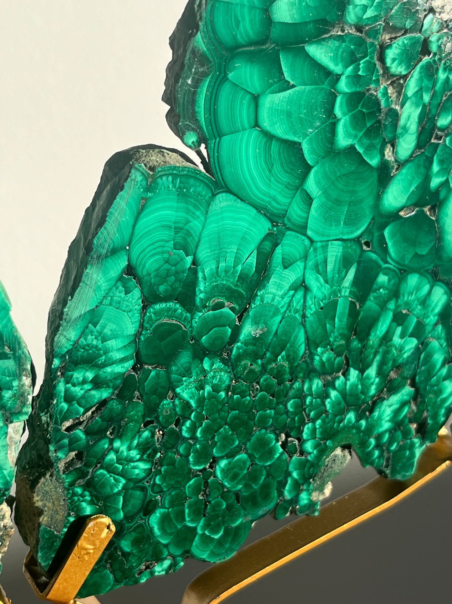 Malachite Butterfly Slab Pair on Custom Gold Stand B