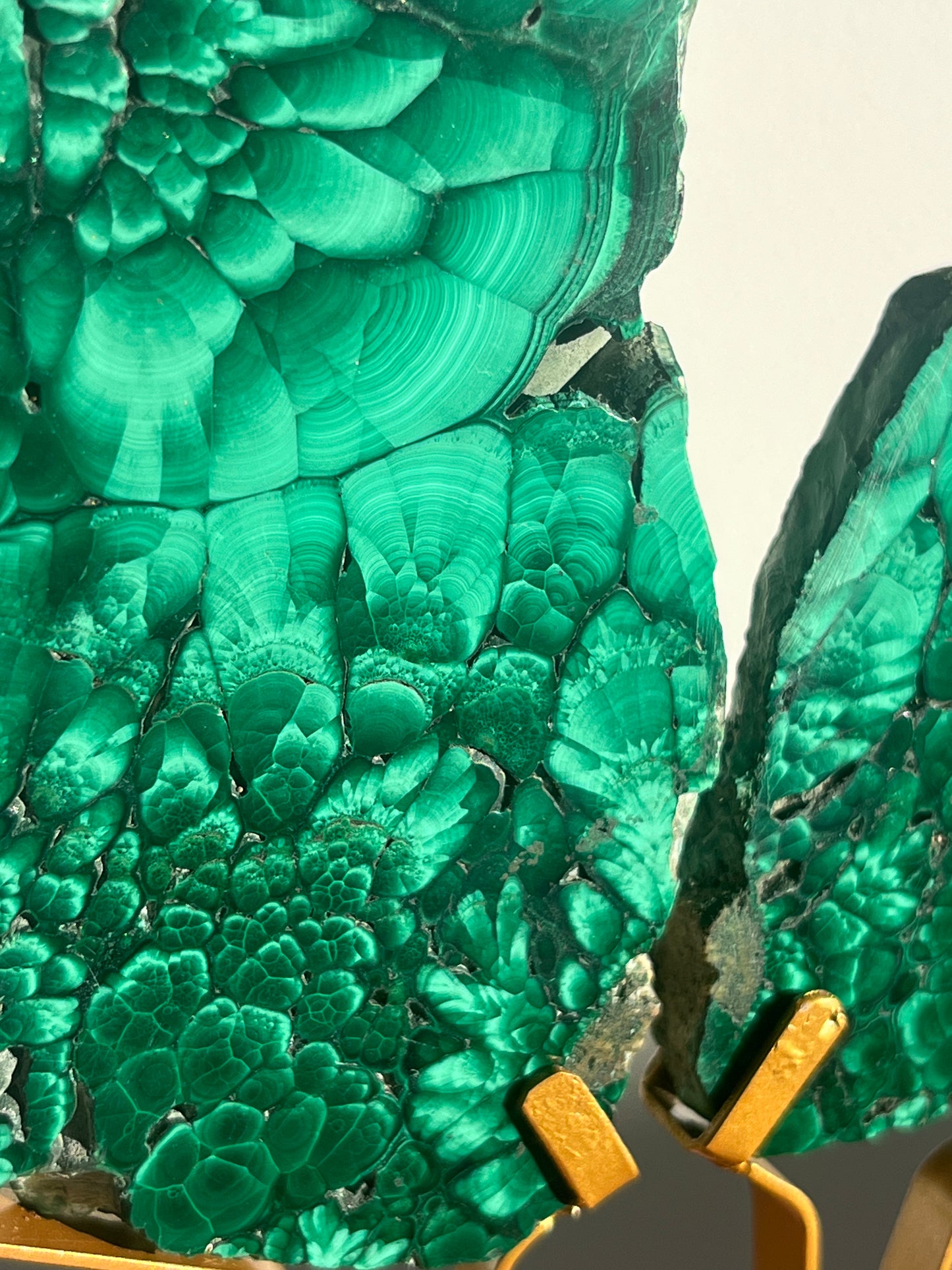 Malachite Butterfly Slab Pair on Custom Gold Stand B