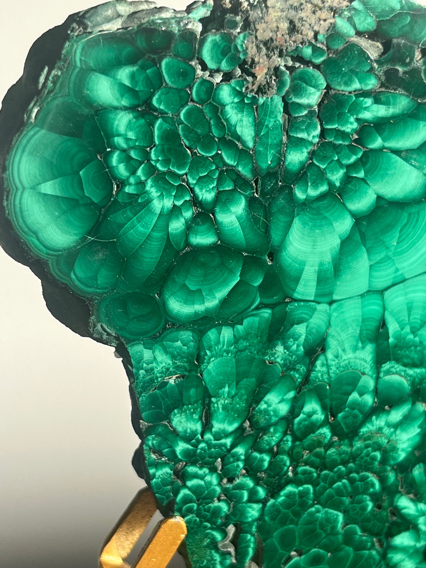 Malachite Butterfly Slab Pair on Custom Gold Stand B