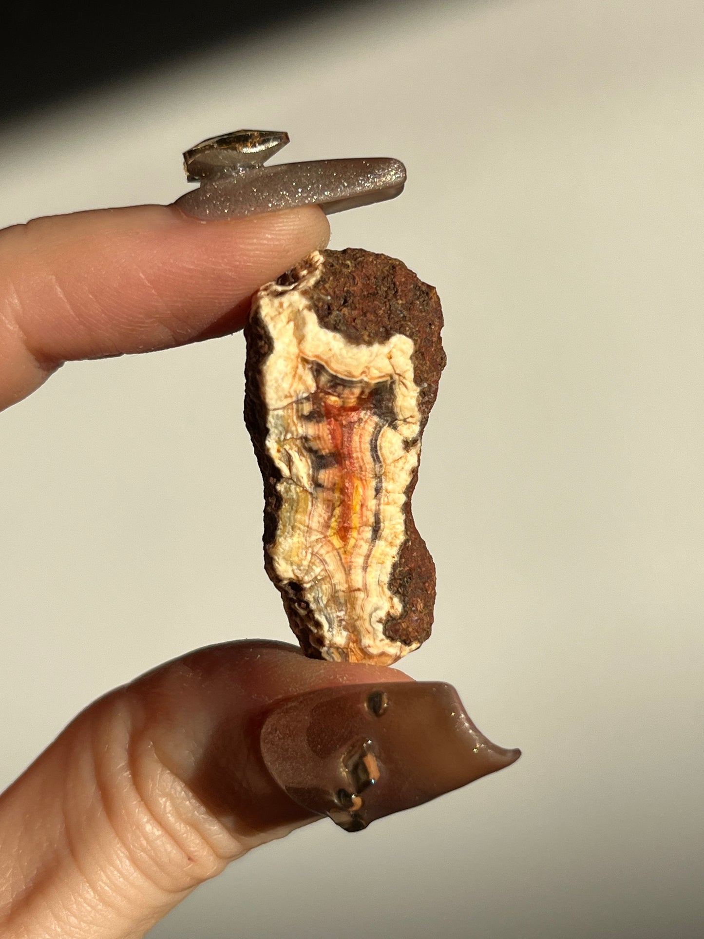 Dark Malawi Agate with Parallax Effect Pair H