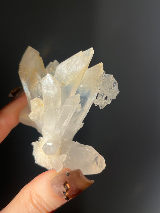 Mango Quartz Statement Cluster B