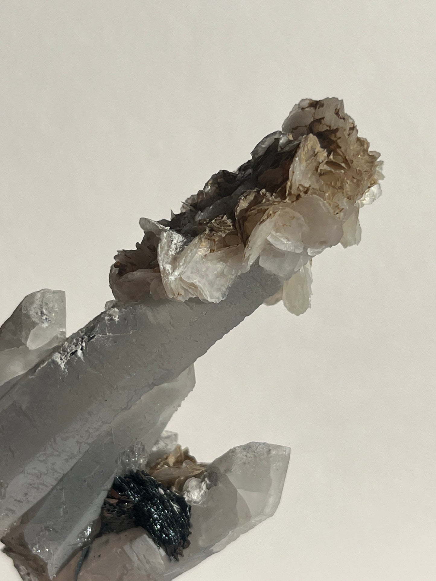 Midnight Bloom Quartz Specimen C