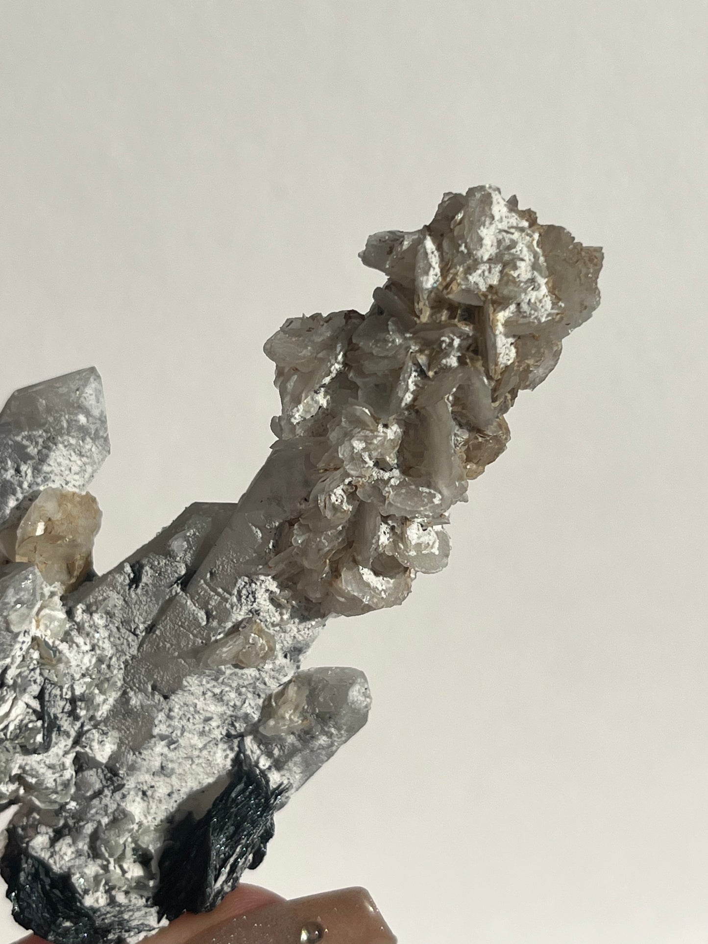 Midnight Bloom Quartz Specimen C
