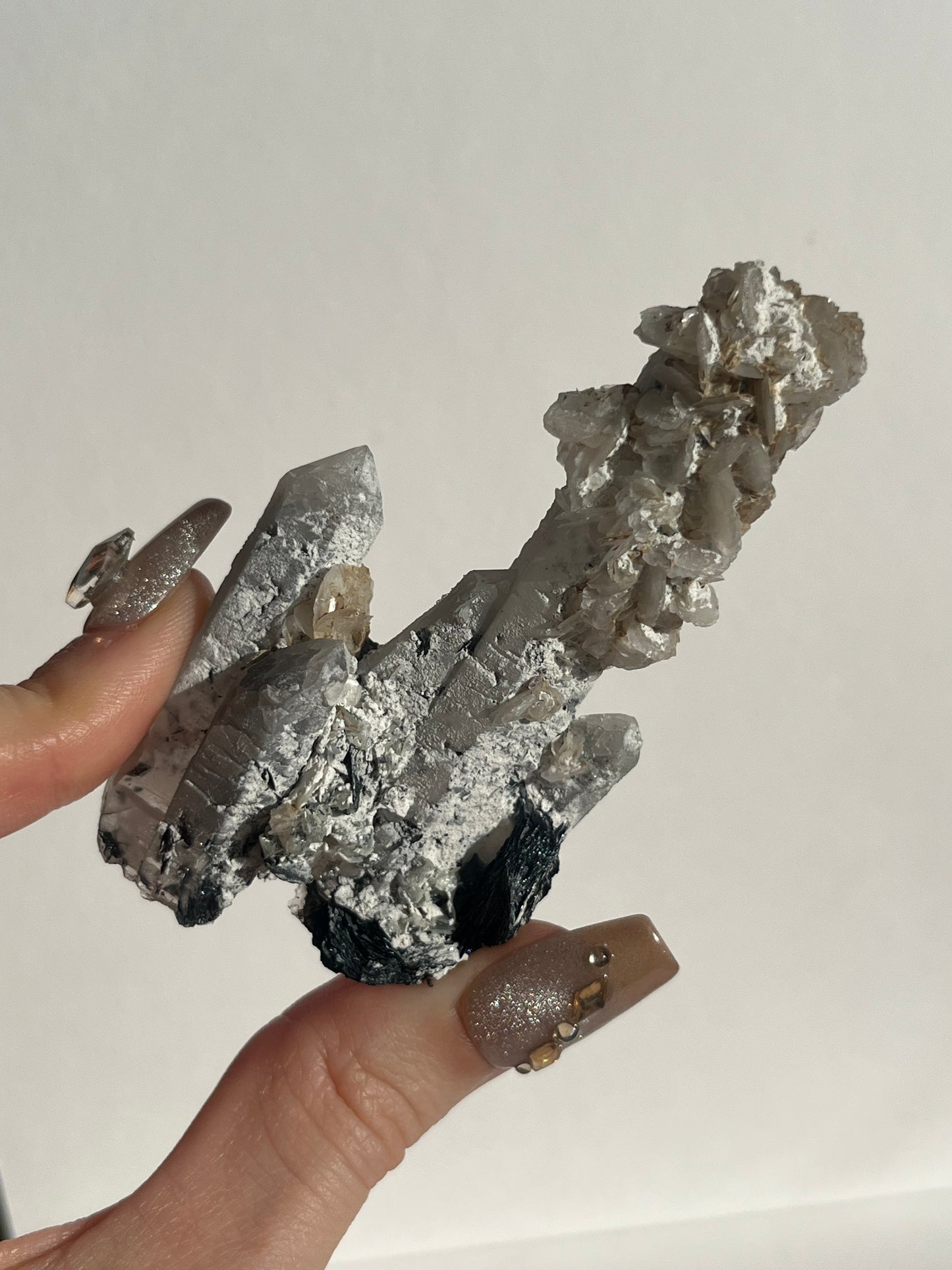 Midnight Bloom Quartz Specimen C