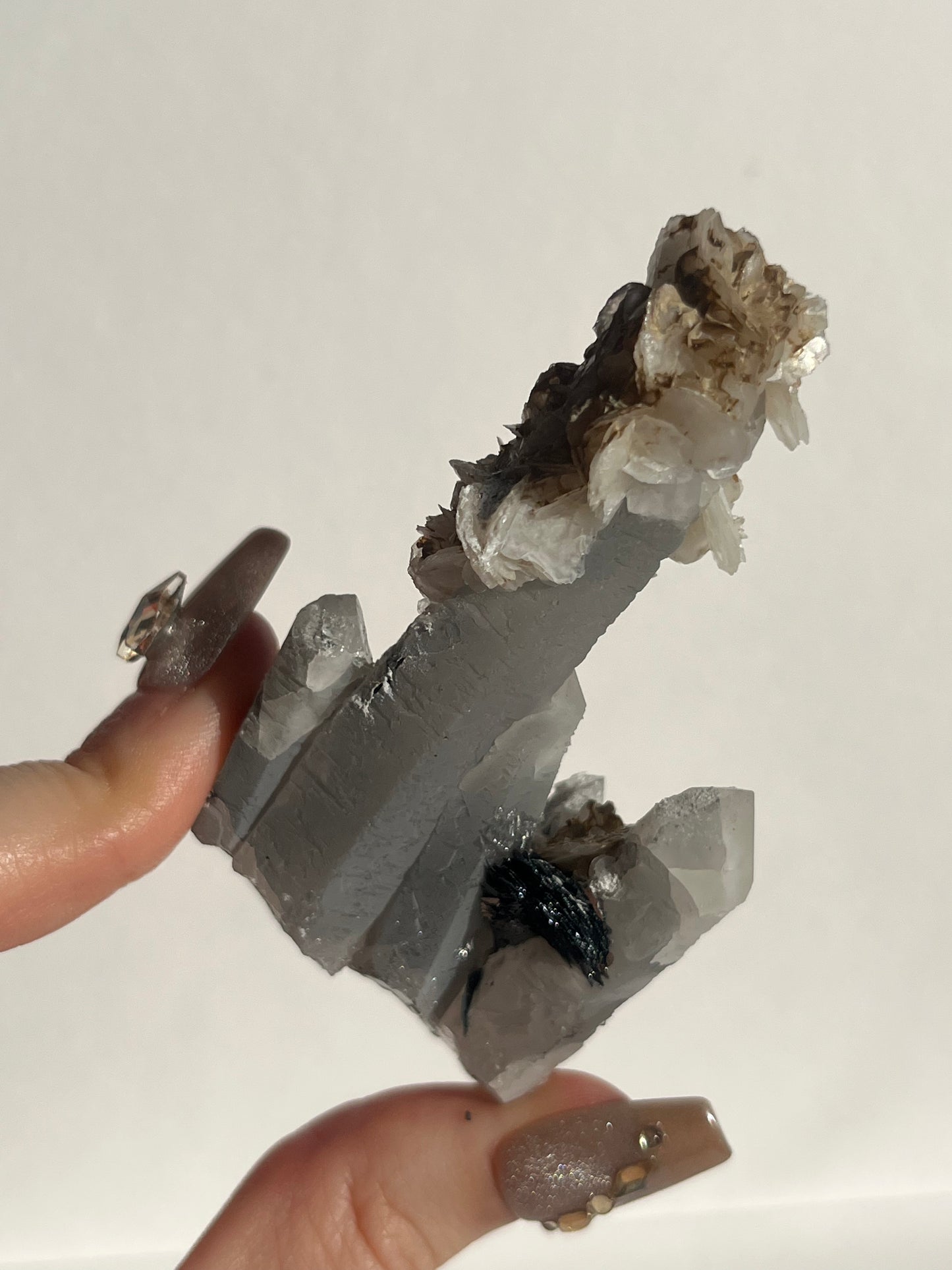 Midnight Bloom Quartz Specimen C