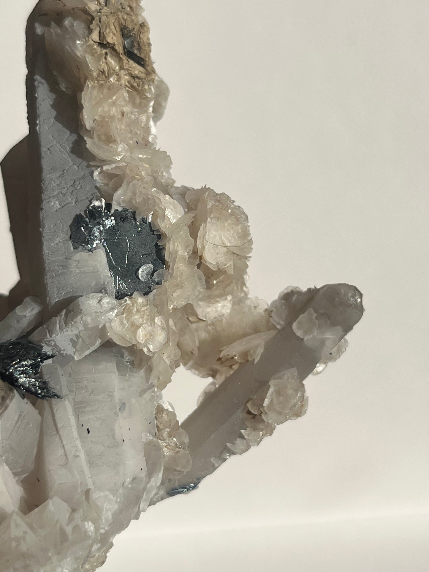 Midnight Bloom Quartz Specimen B