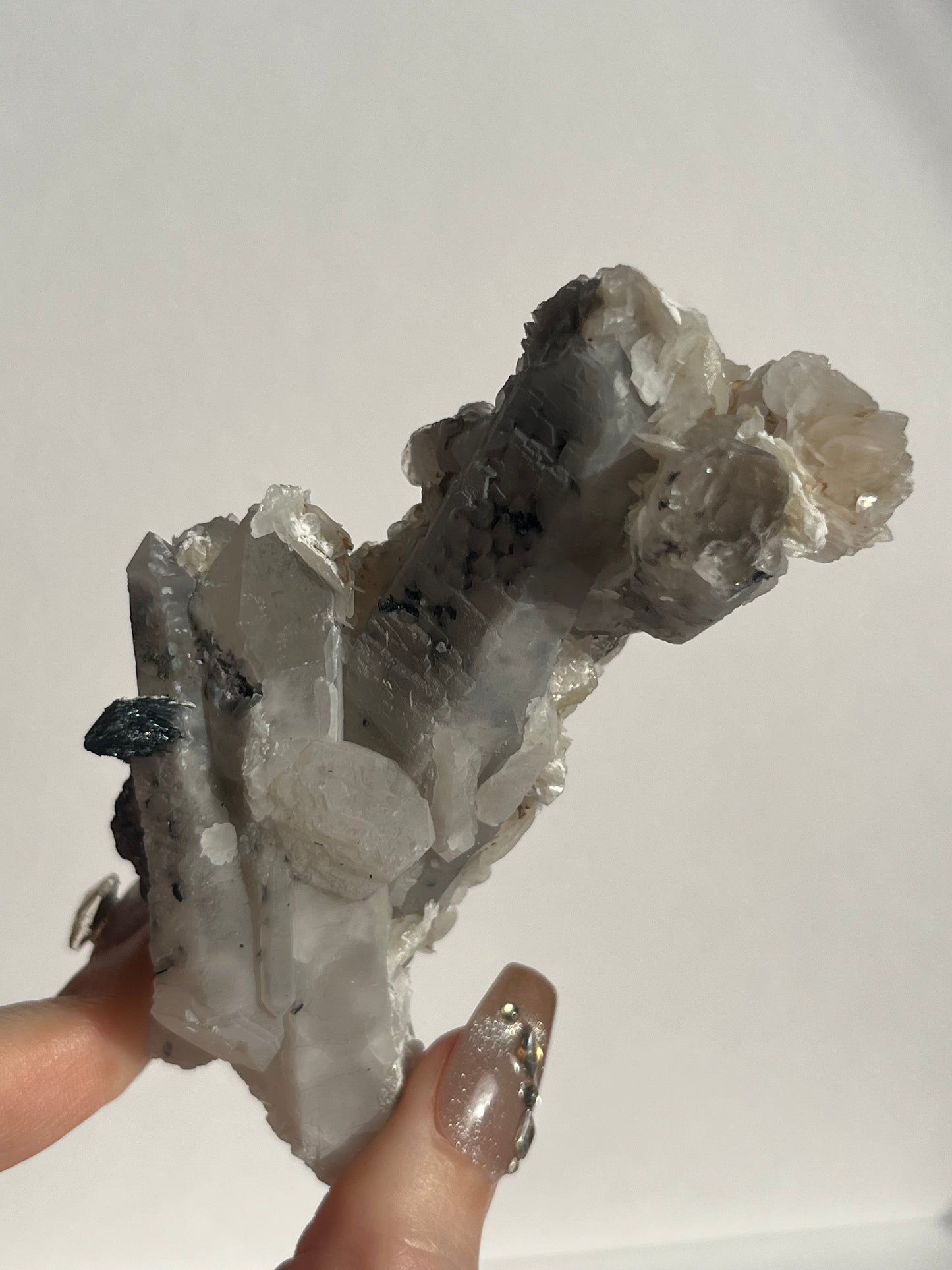 Midnight Bloom Quartz Specimen D