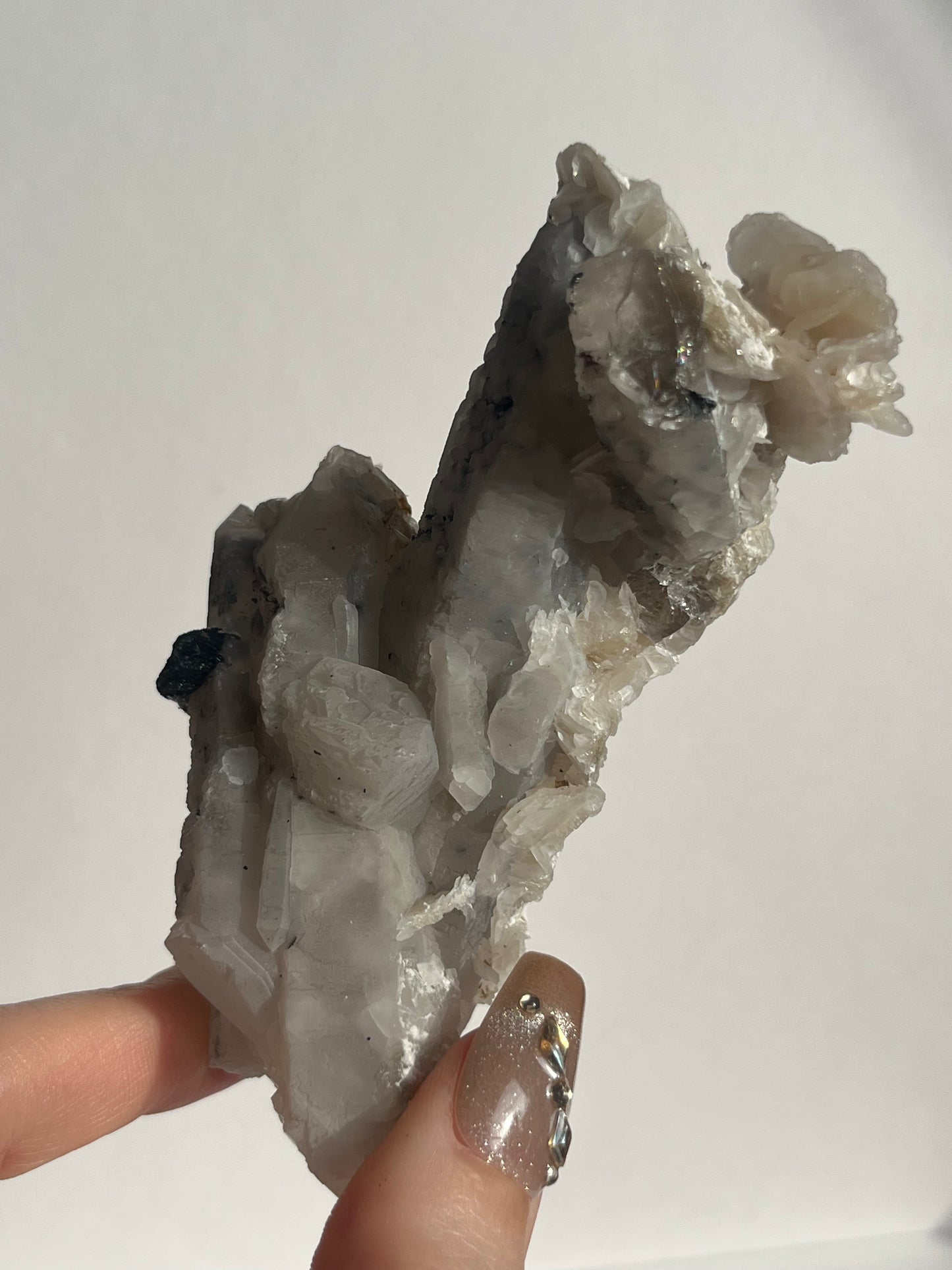 Midnight Bloom Quartz Specimen D