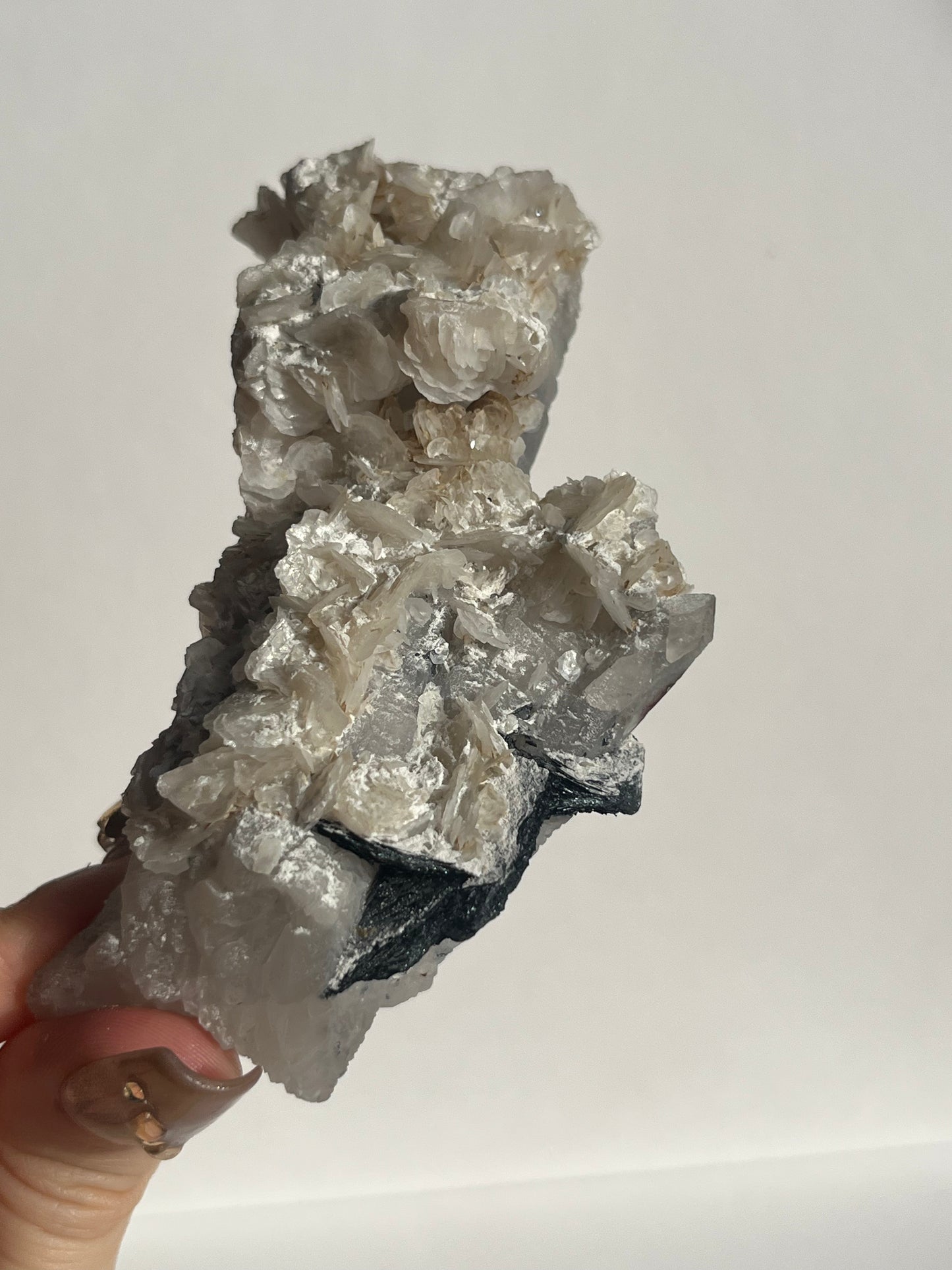Midnight Bloom Quartz Specimen D
