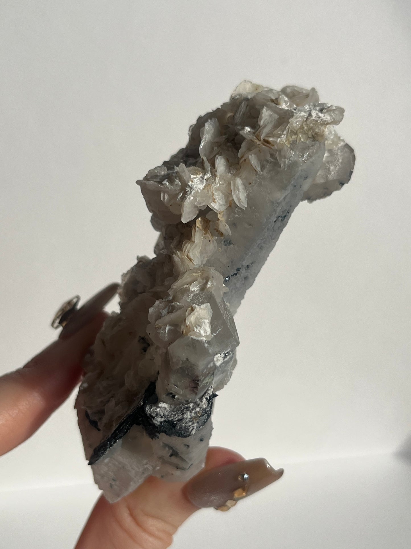 Midnight Bloom Quartz Specimen D