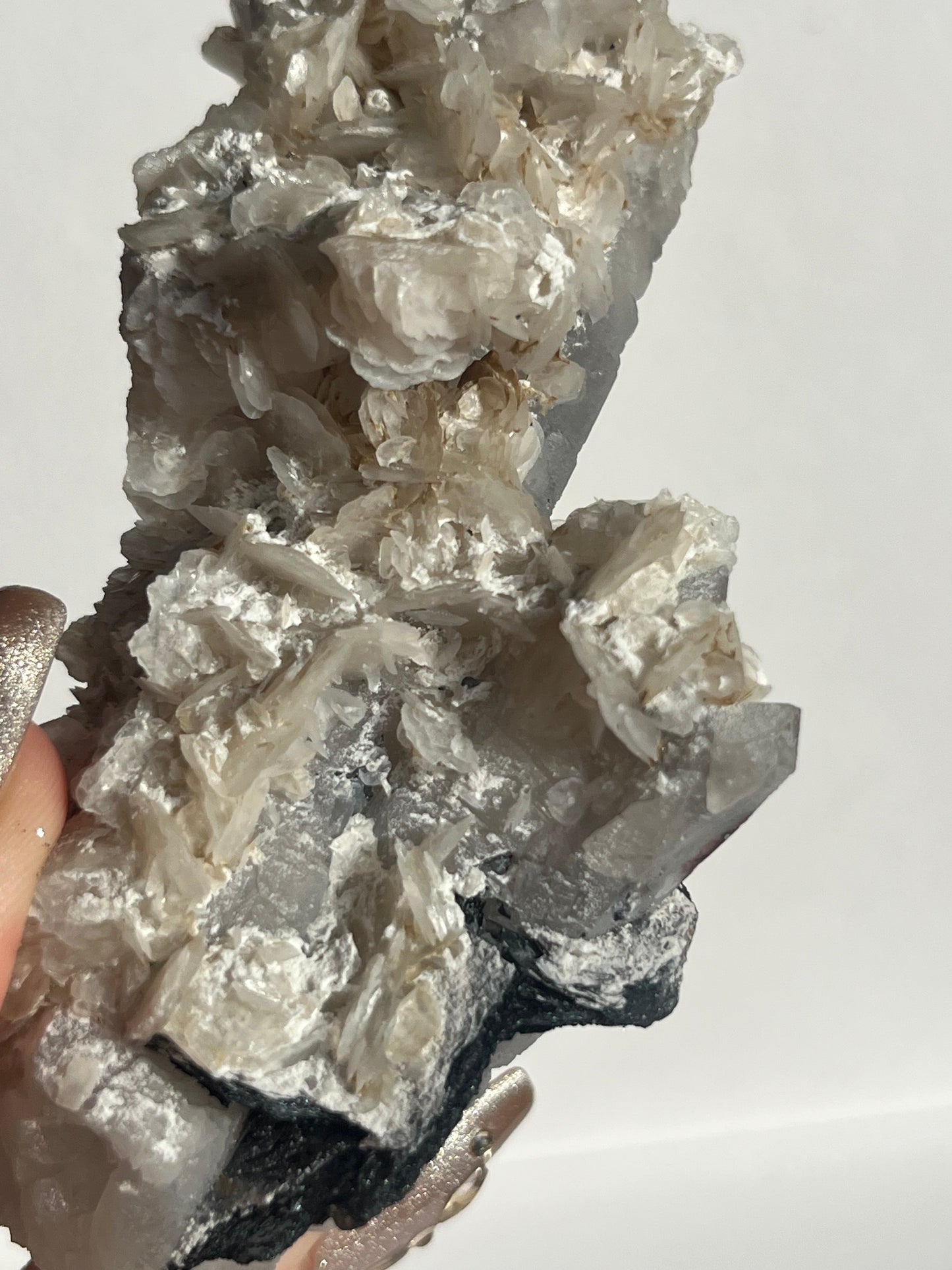 Midnight Bloom Quartz Specimen D