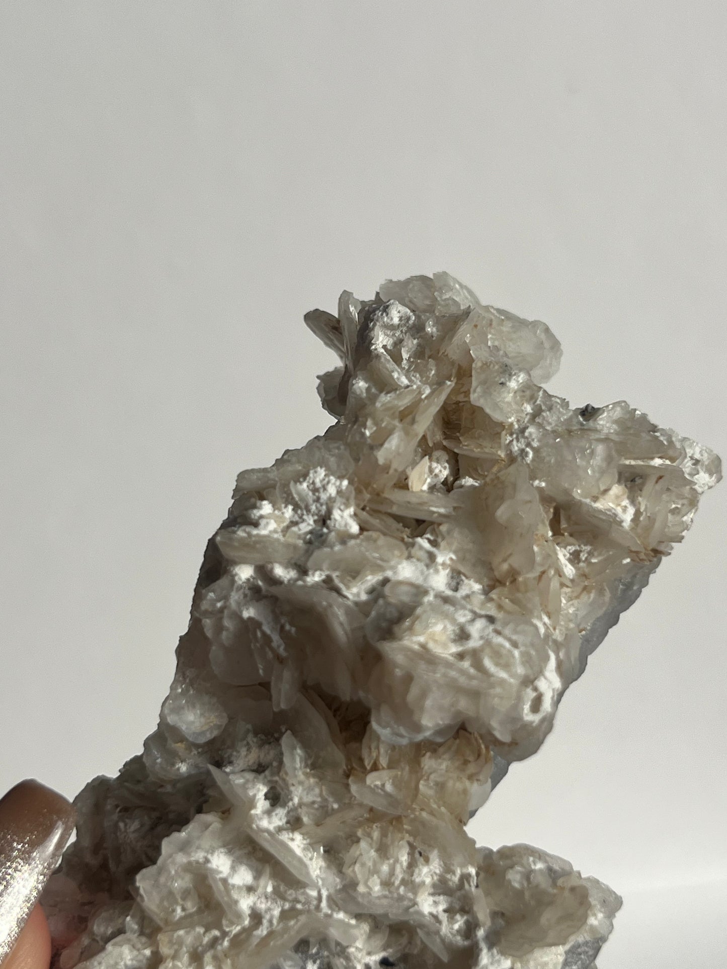 Midnight Bloom Quartz Specimen D