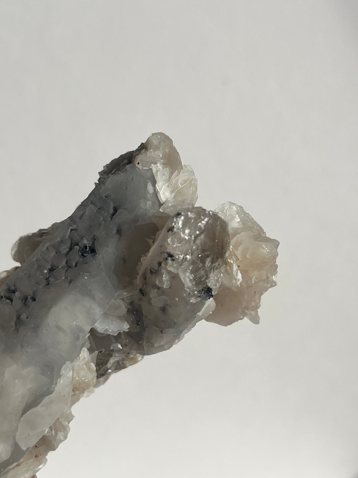Midnight Bloom Quartz Specimen D