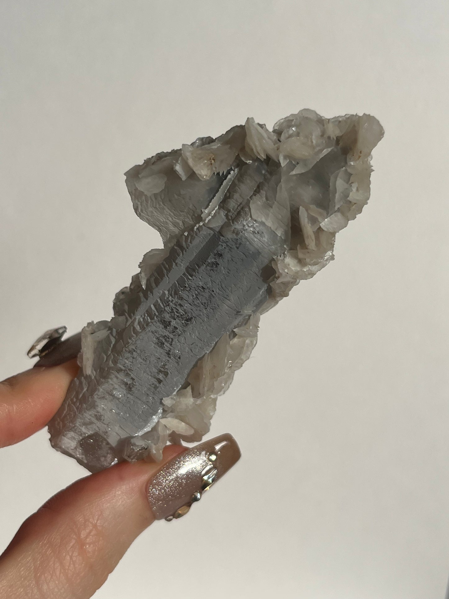 Midnight Bloom Quartz Specimen F