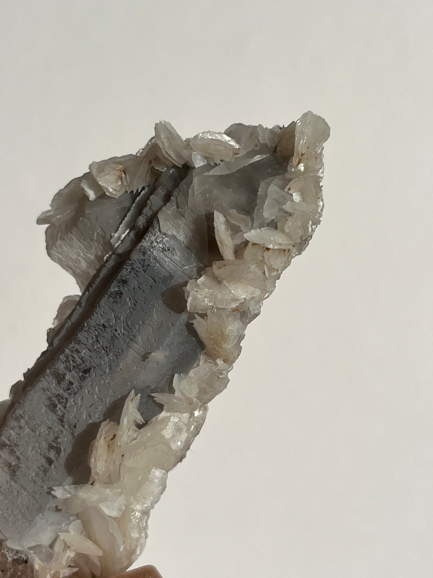 Midnight Bloom Quartz Specimen F